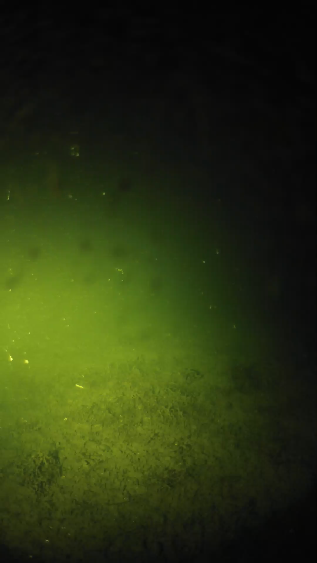 lander_ipcam_20240625040545.png
