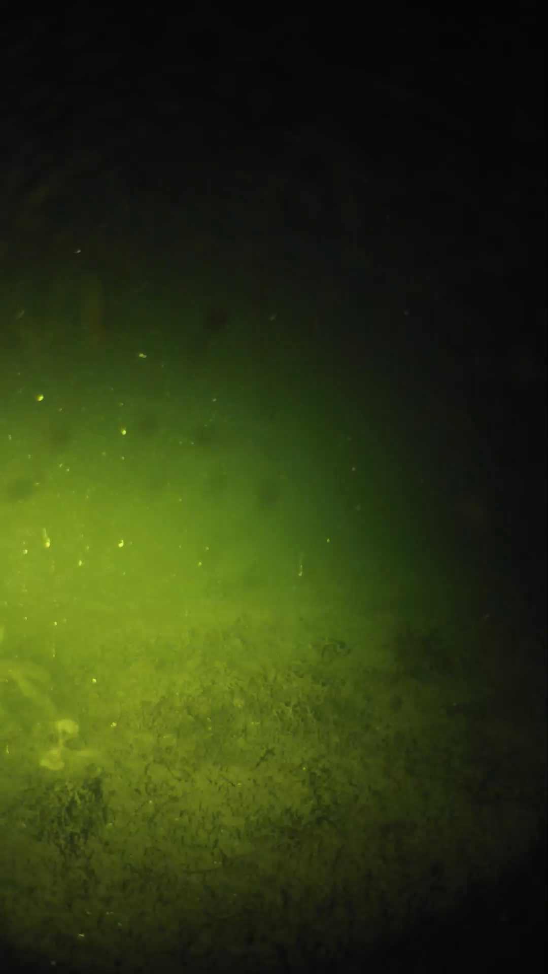lander_ipcam_20240625040604.png