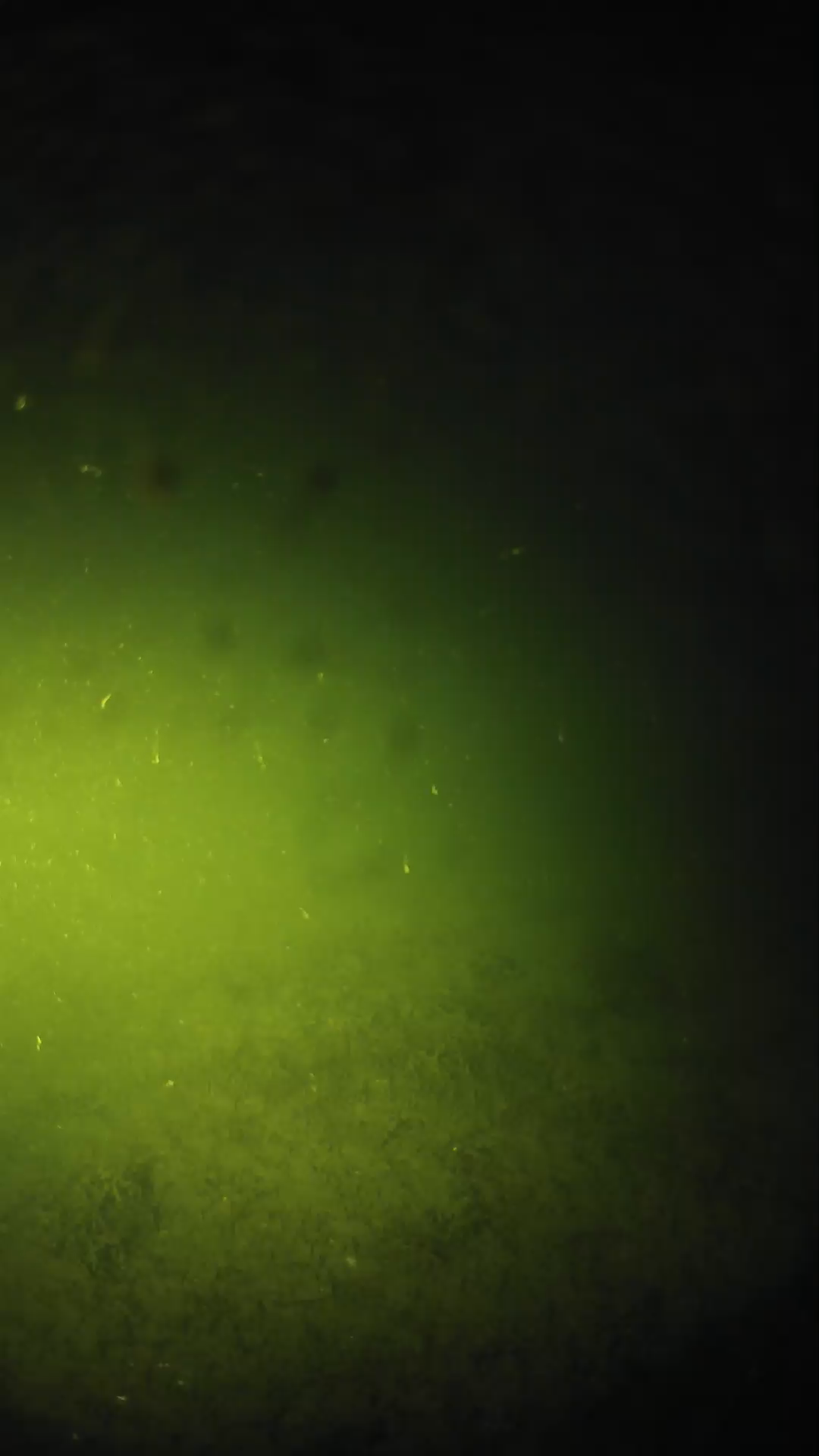 lander_ipcam_20240625043545.png