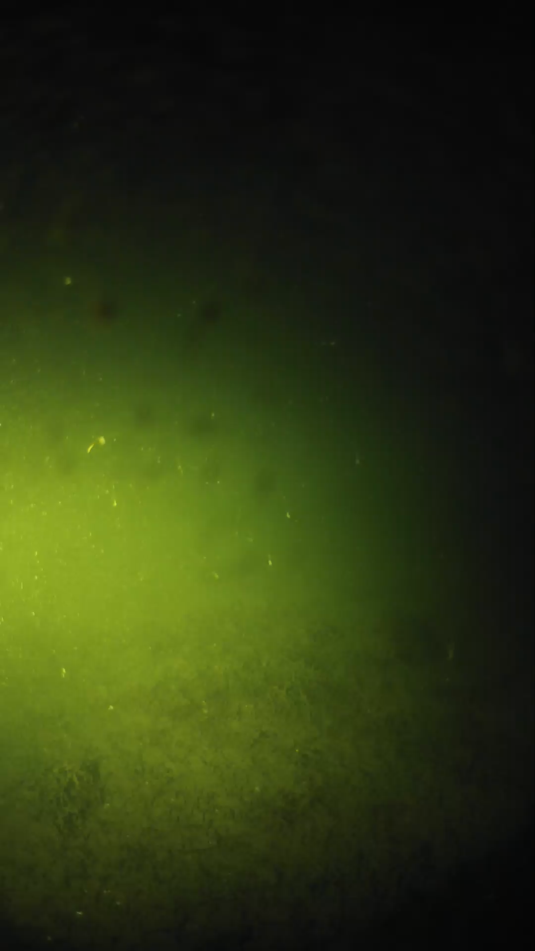 lander_ipcam_20240625043550.png
