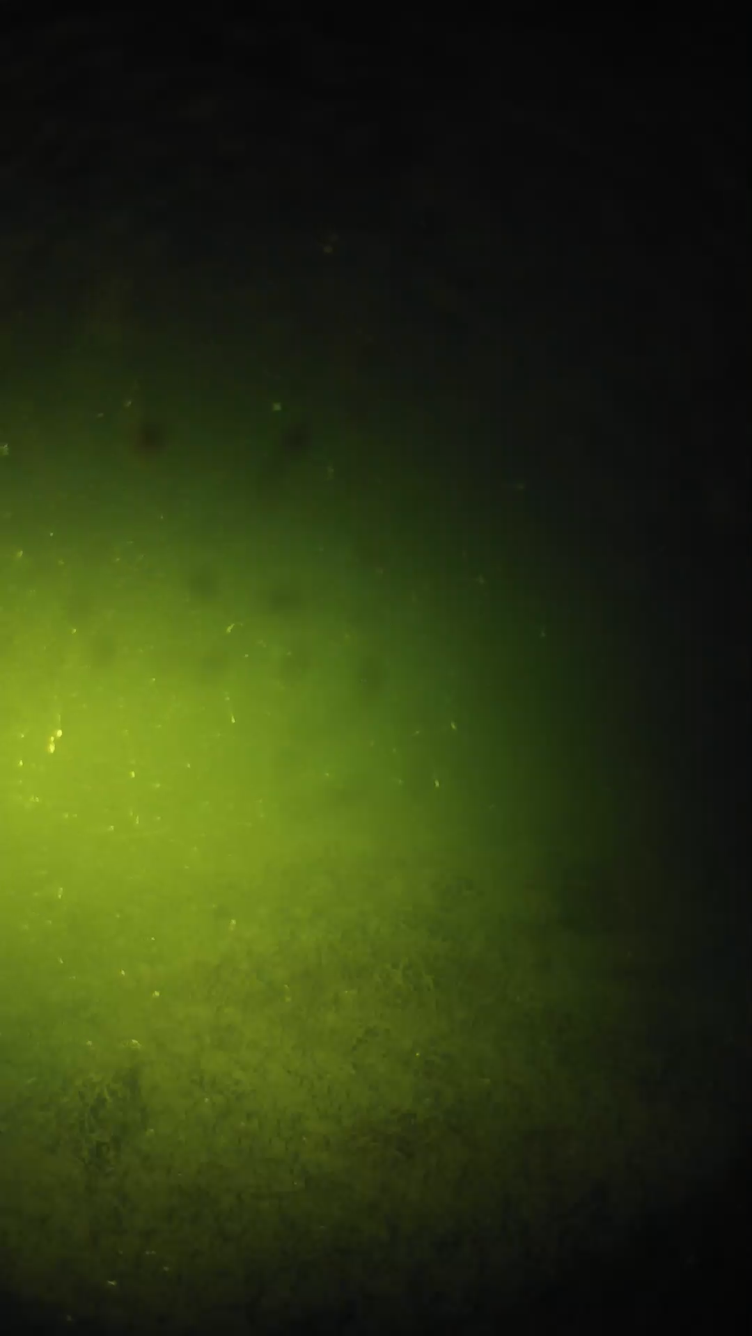 lander_ipcam_20240625043555.png