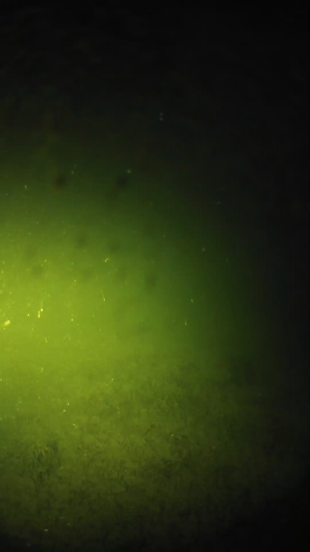 lander_ipcam_20240625043557.png