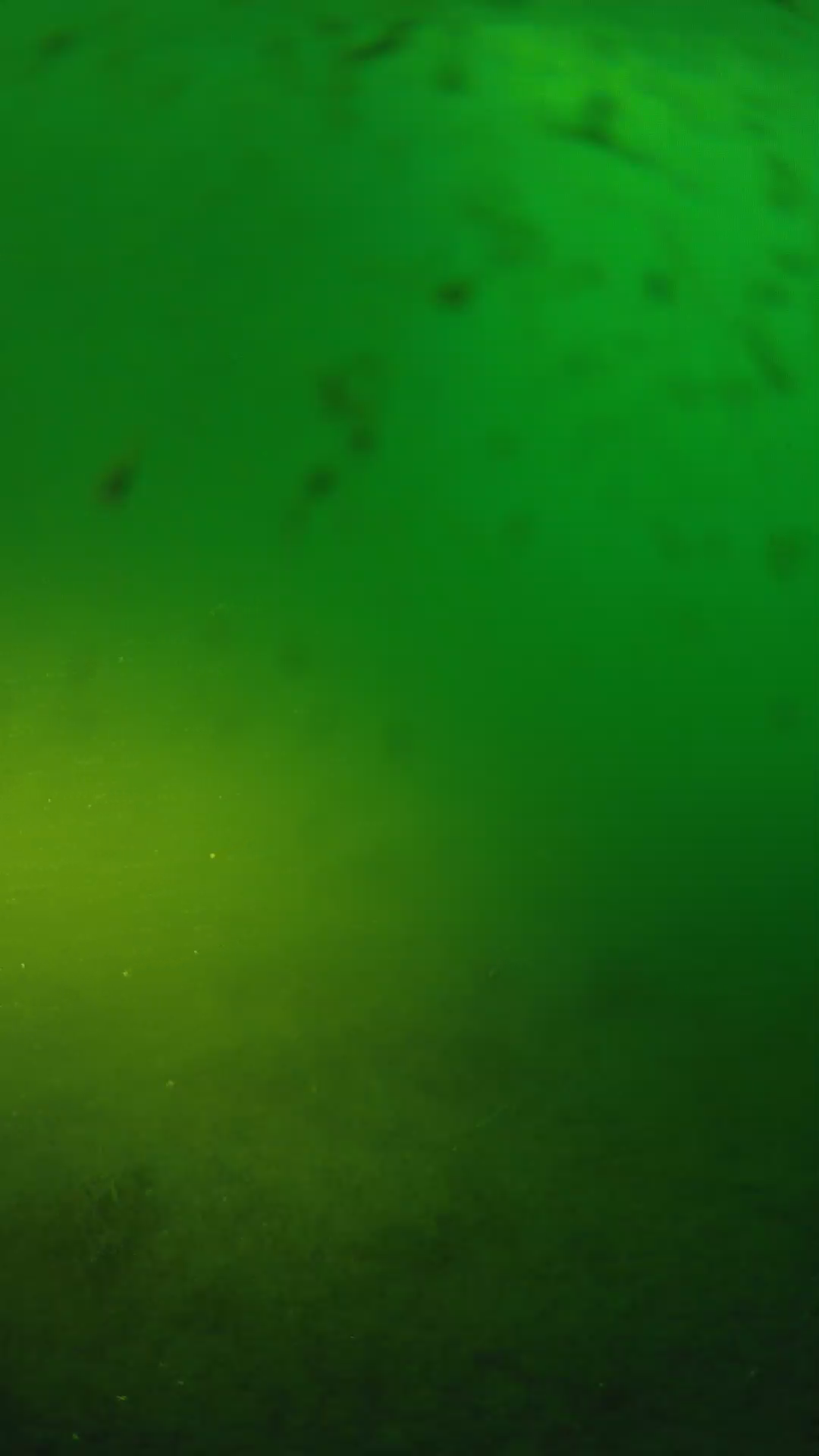 lander_ipcam_20240625053539.png