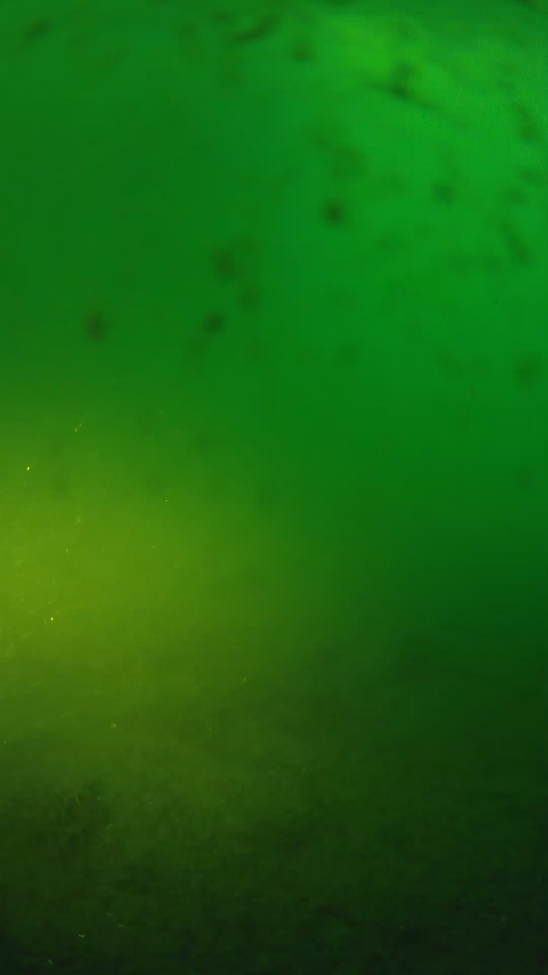 lander_ipcam_20240625053541.png