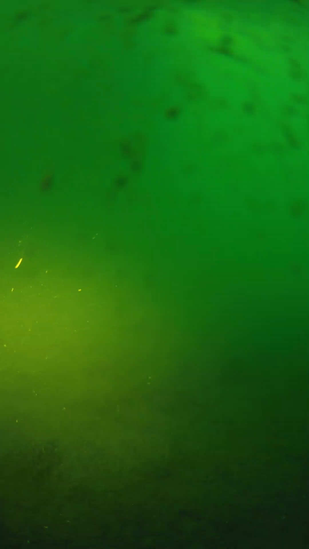 lander_ipcam_20240625053550.png