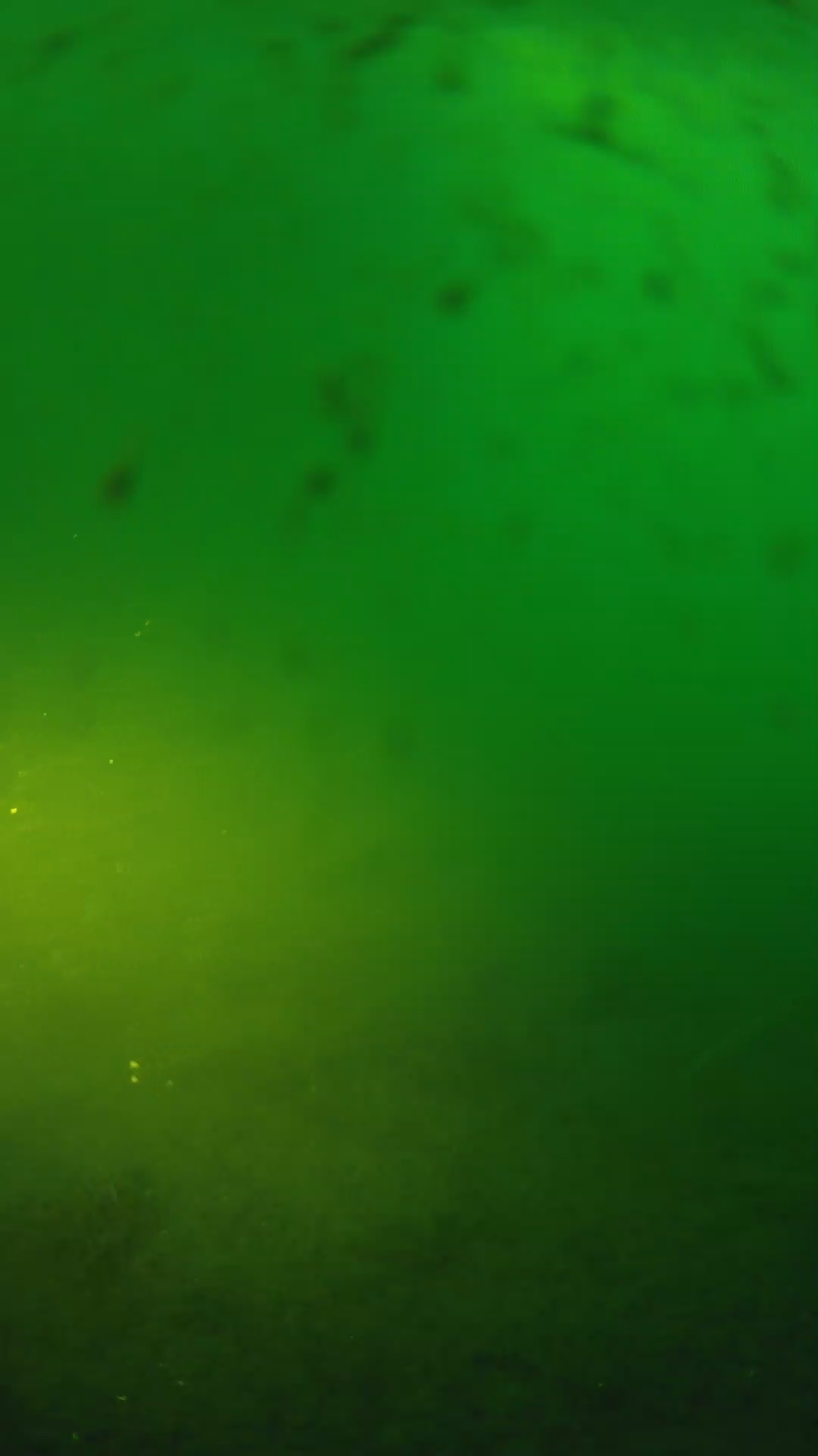 lander_ipcam_20240625053553.png