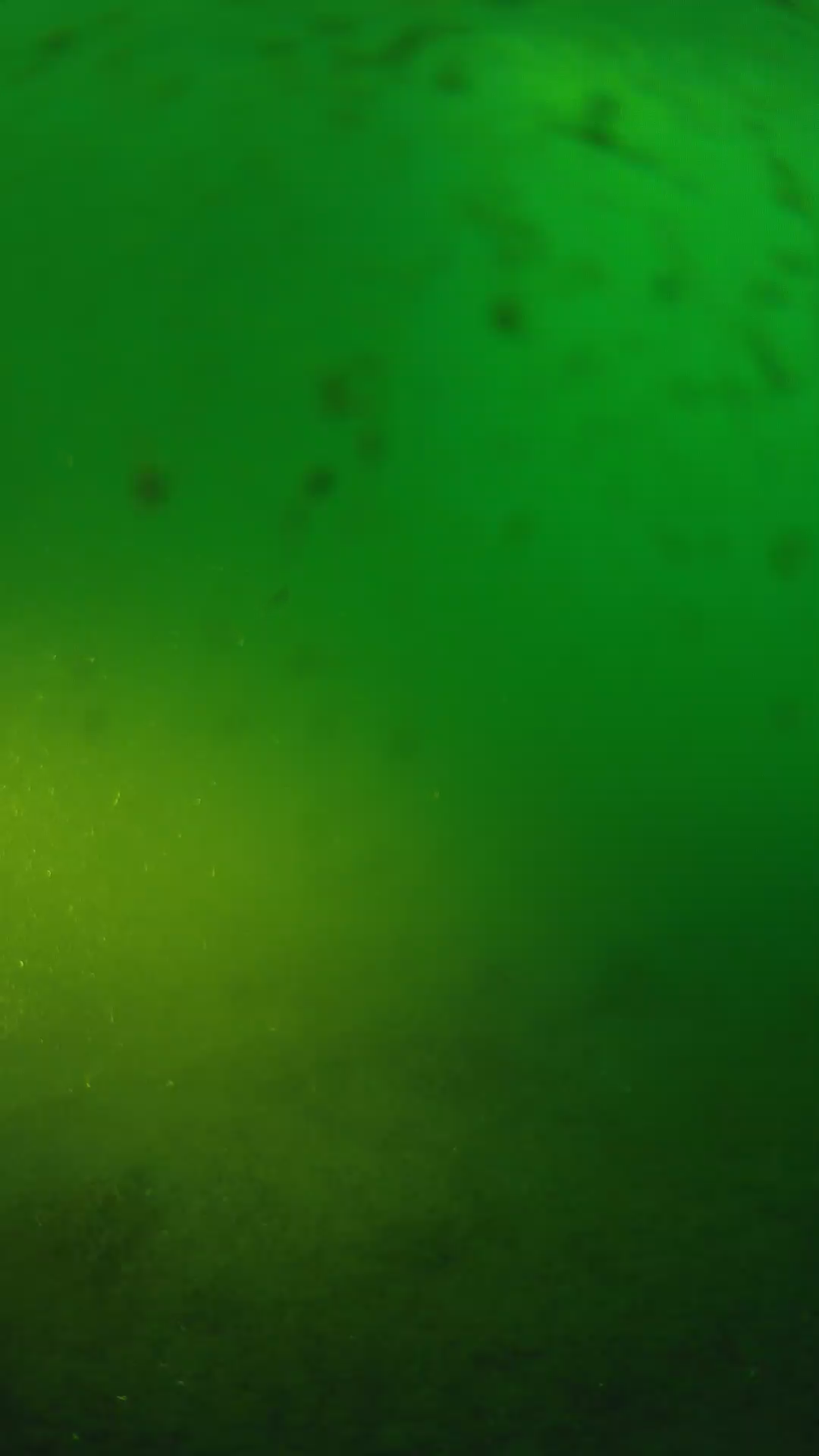 lander_ipcam_20240625053603.png