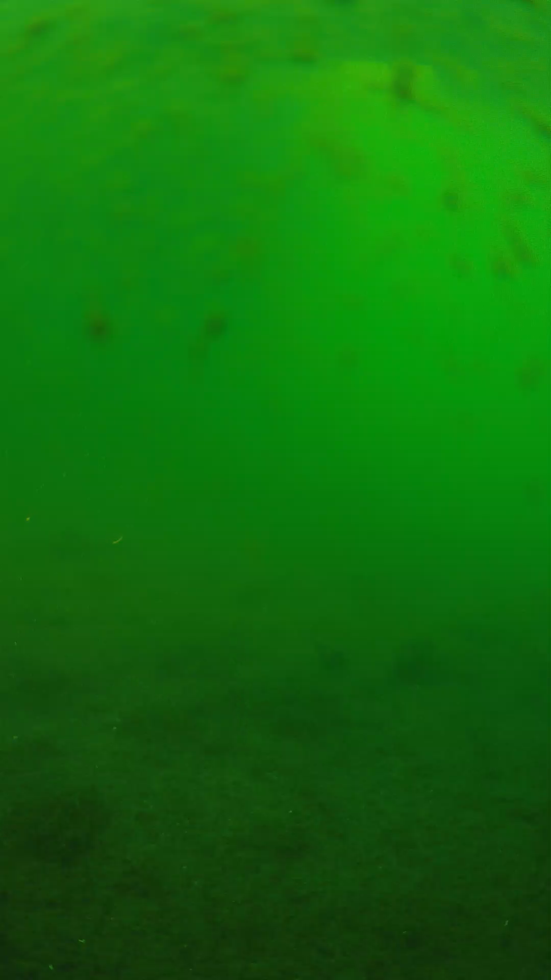 lander_ipcam_20240625073544.png