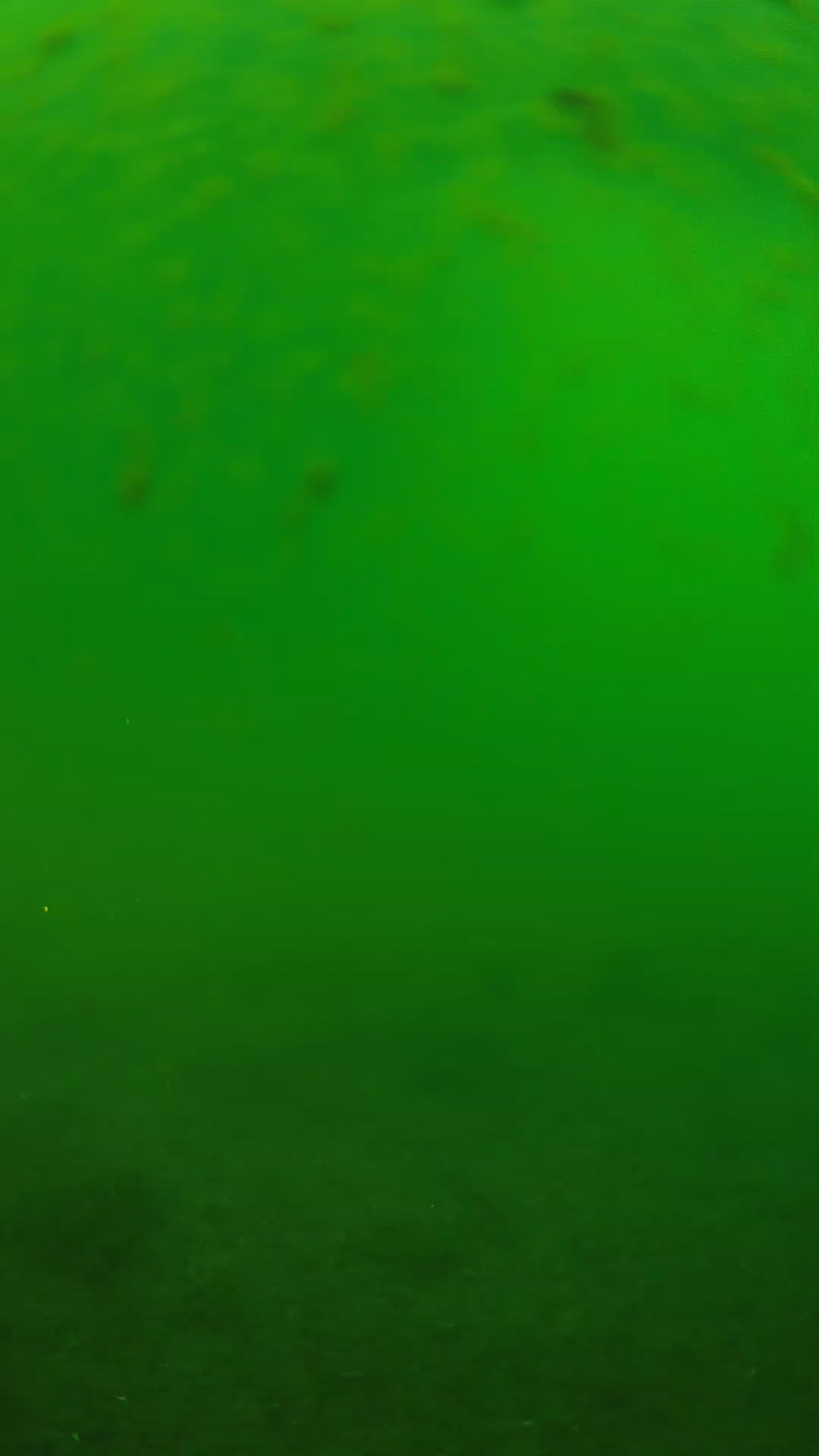 lander_ipcam_20240625083539.png