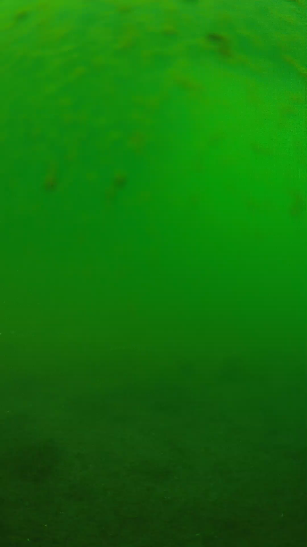 lander_ipcam_20240625083540.png
