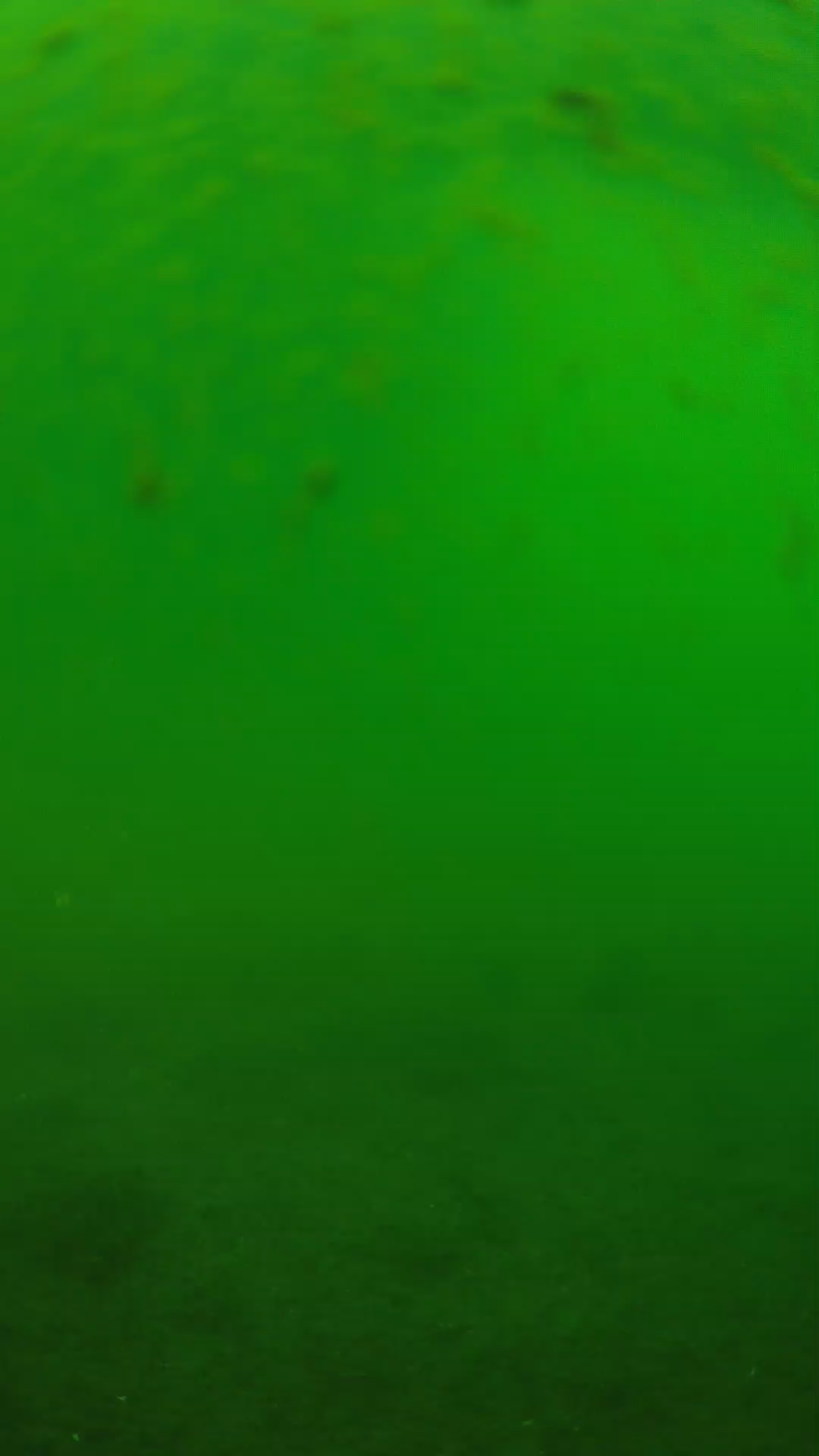 lander_ipcam_20240625083542.png