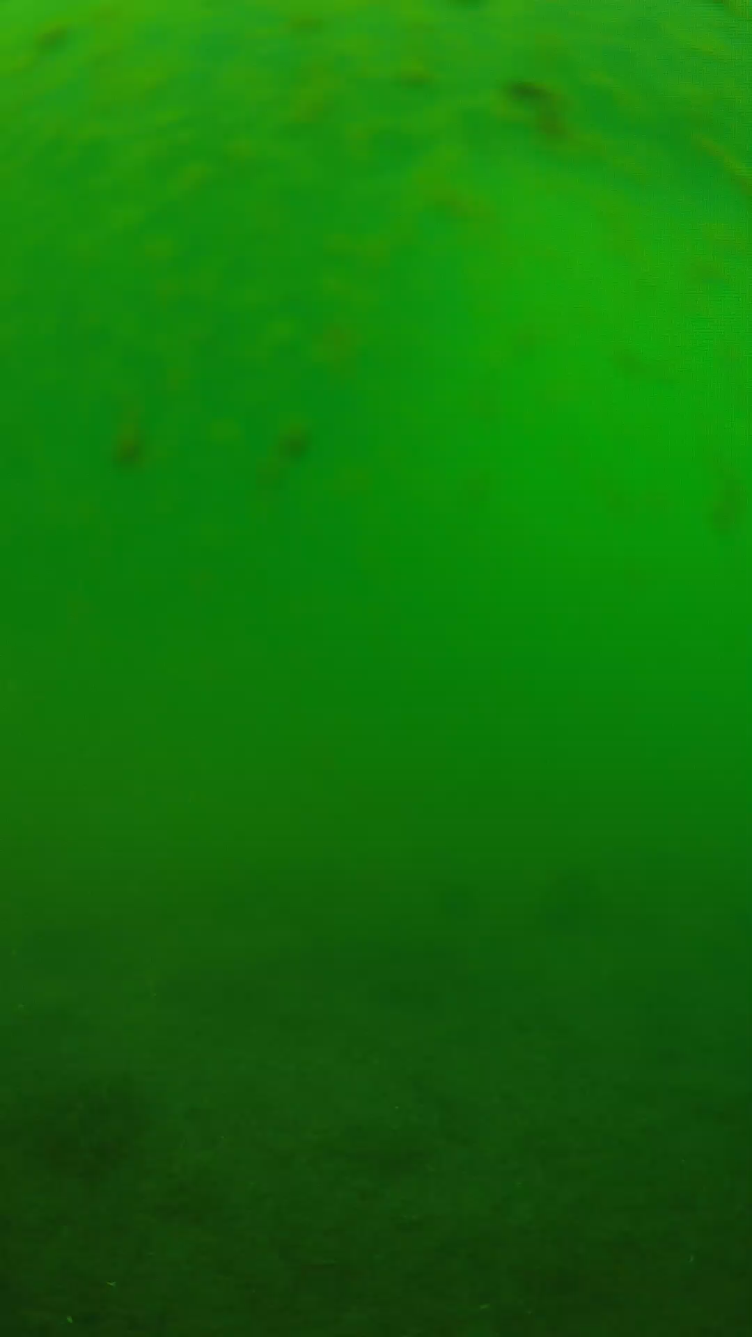 lander_ipcam_20240625083547.png