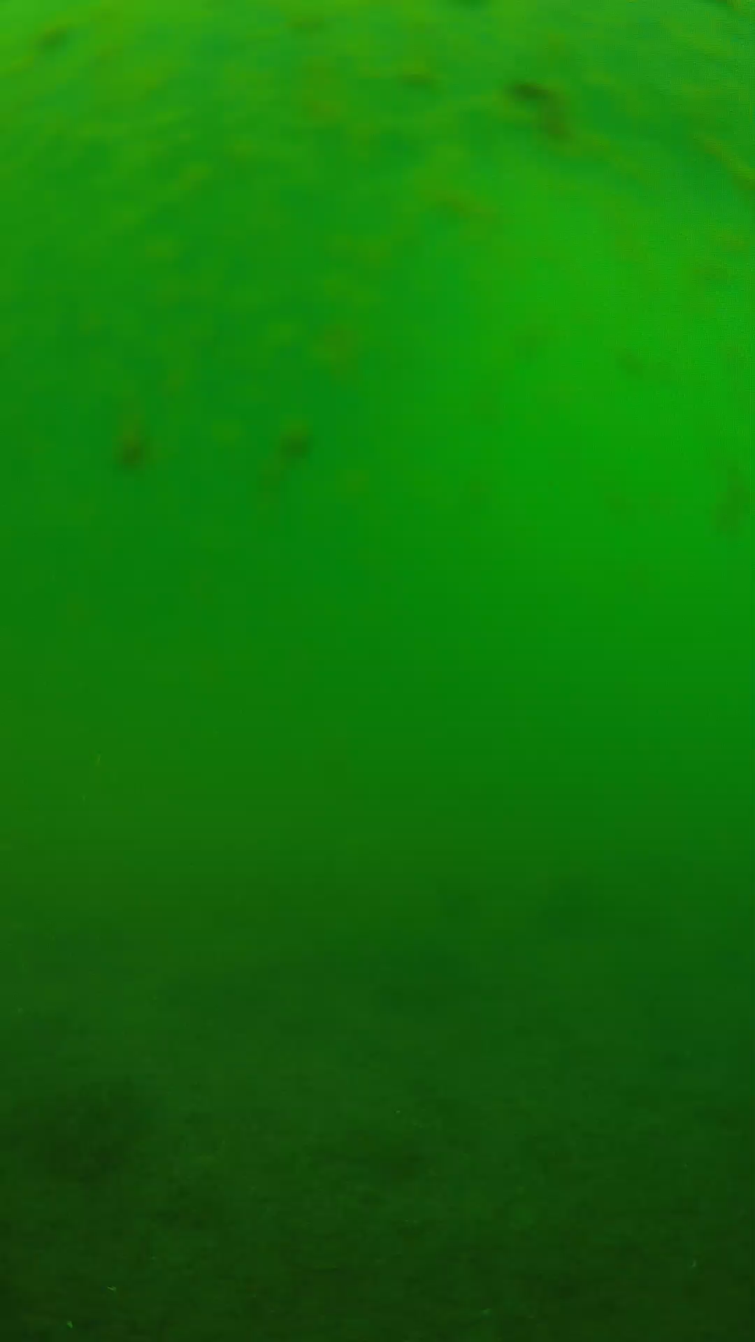 lander_ipcam_20240625083551.png