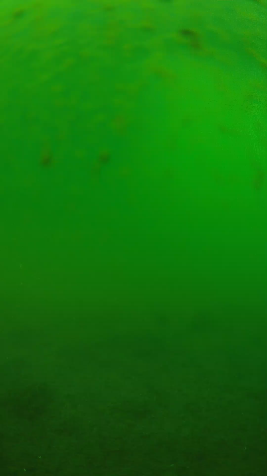lander_ipcam_20240625083552.png