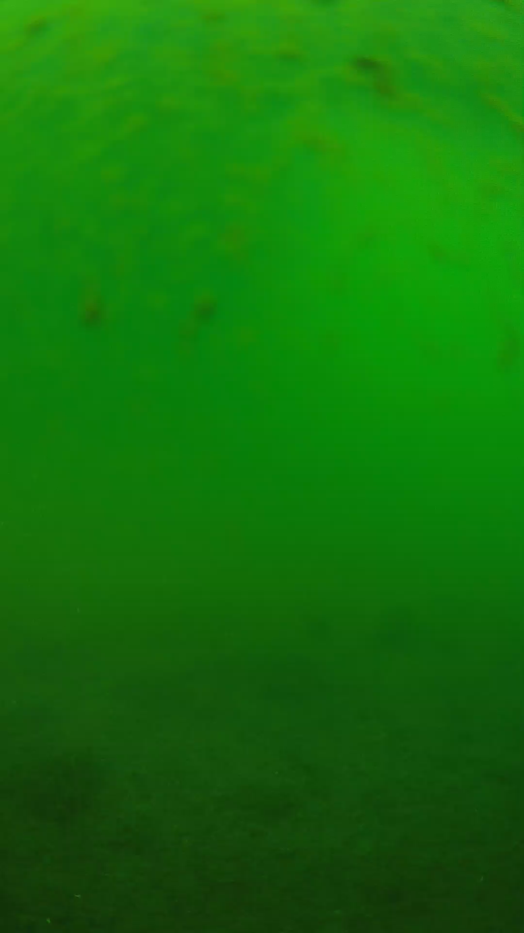 lander_ipcam_20240625083555.png
