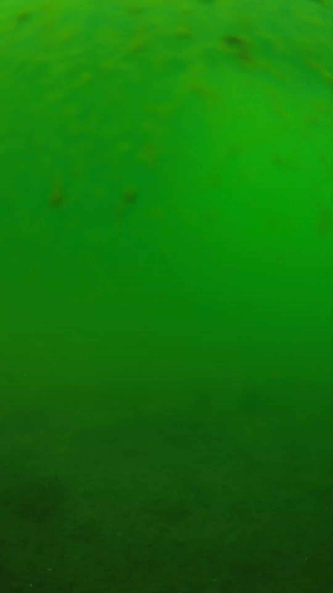 lander_ipcam_20240625083558.png