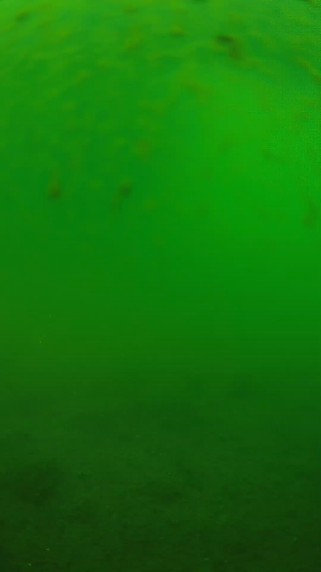 lander_ipcam_20240625083600.png