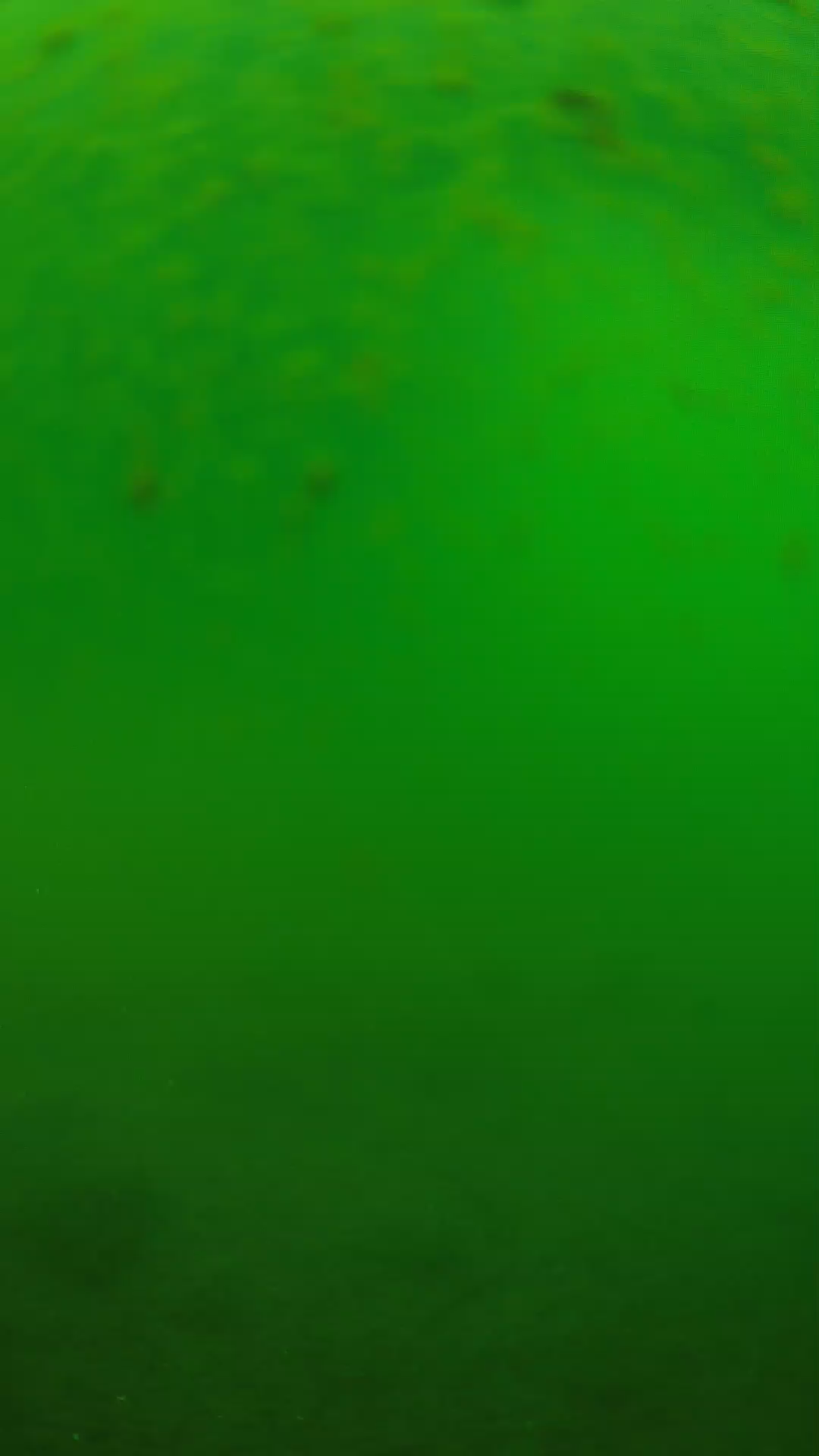 lander_ipcam_20240625090538.png