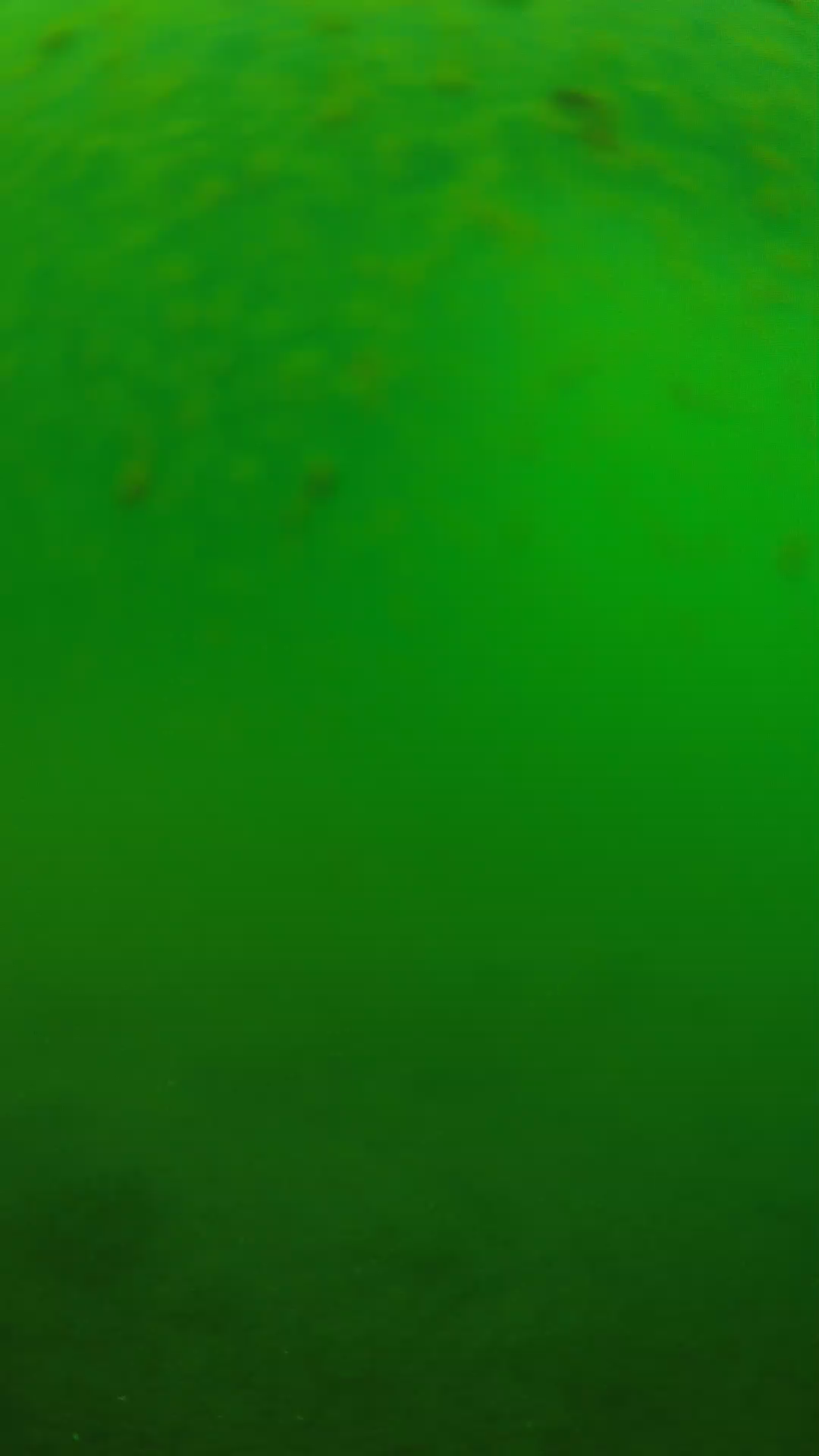 lander_ipcam_20240625090539.png