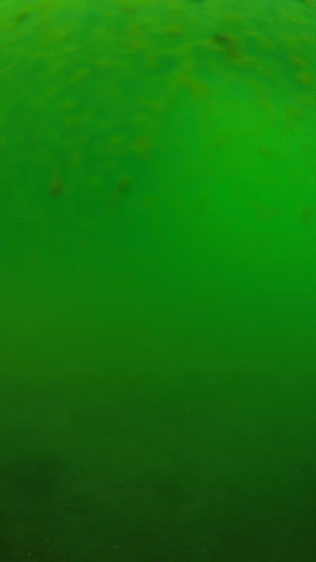 lander_ipcam_20240625090540.png