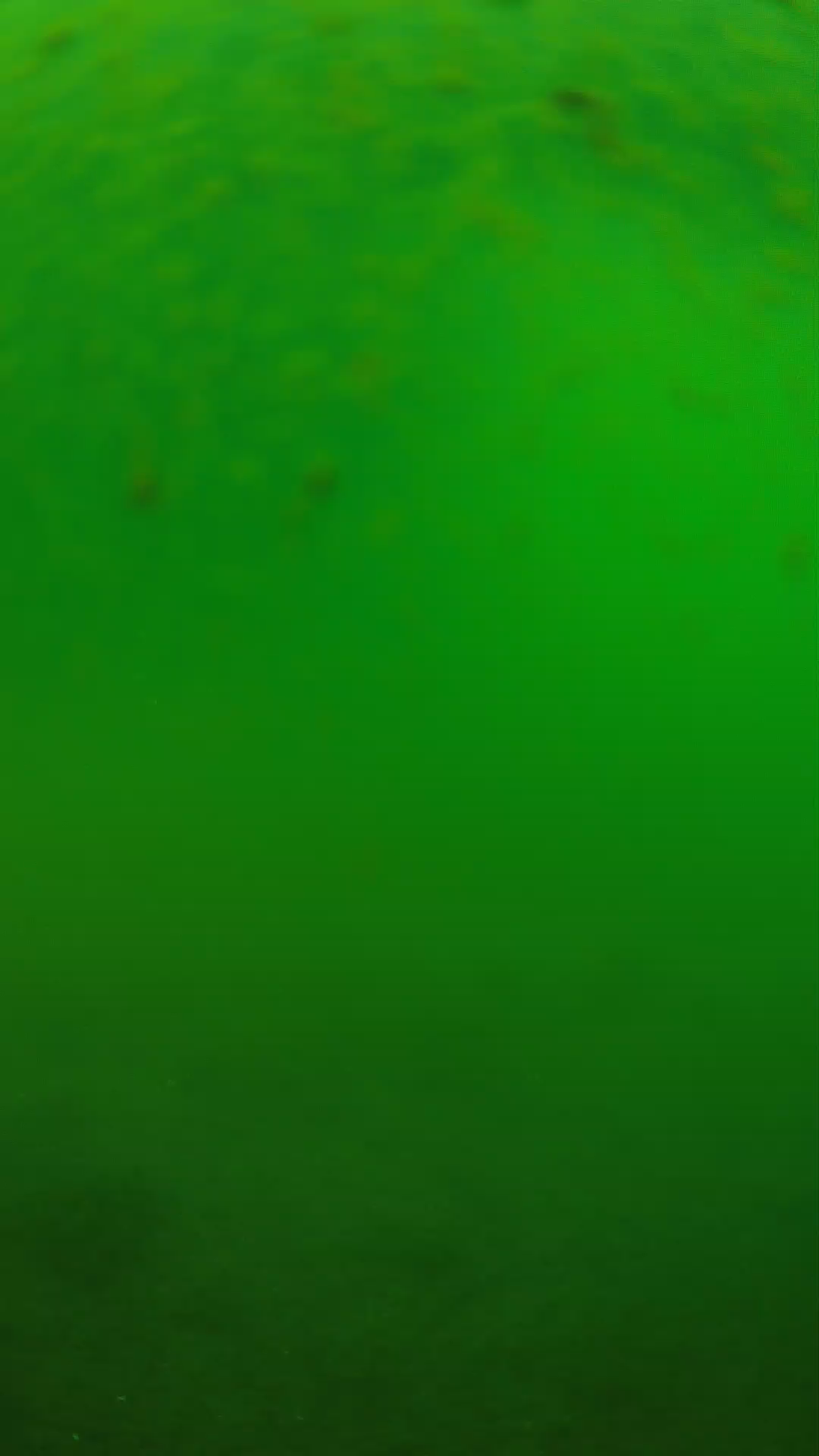 lander_ipcam_20240625090541.png