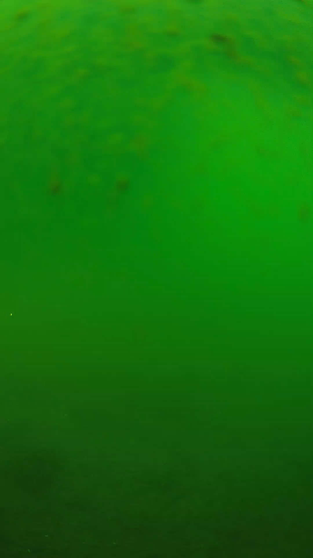lander_ipcam_20240625090542.png