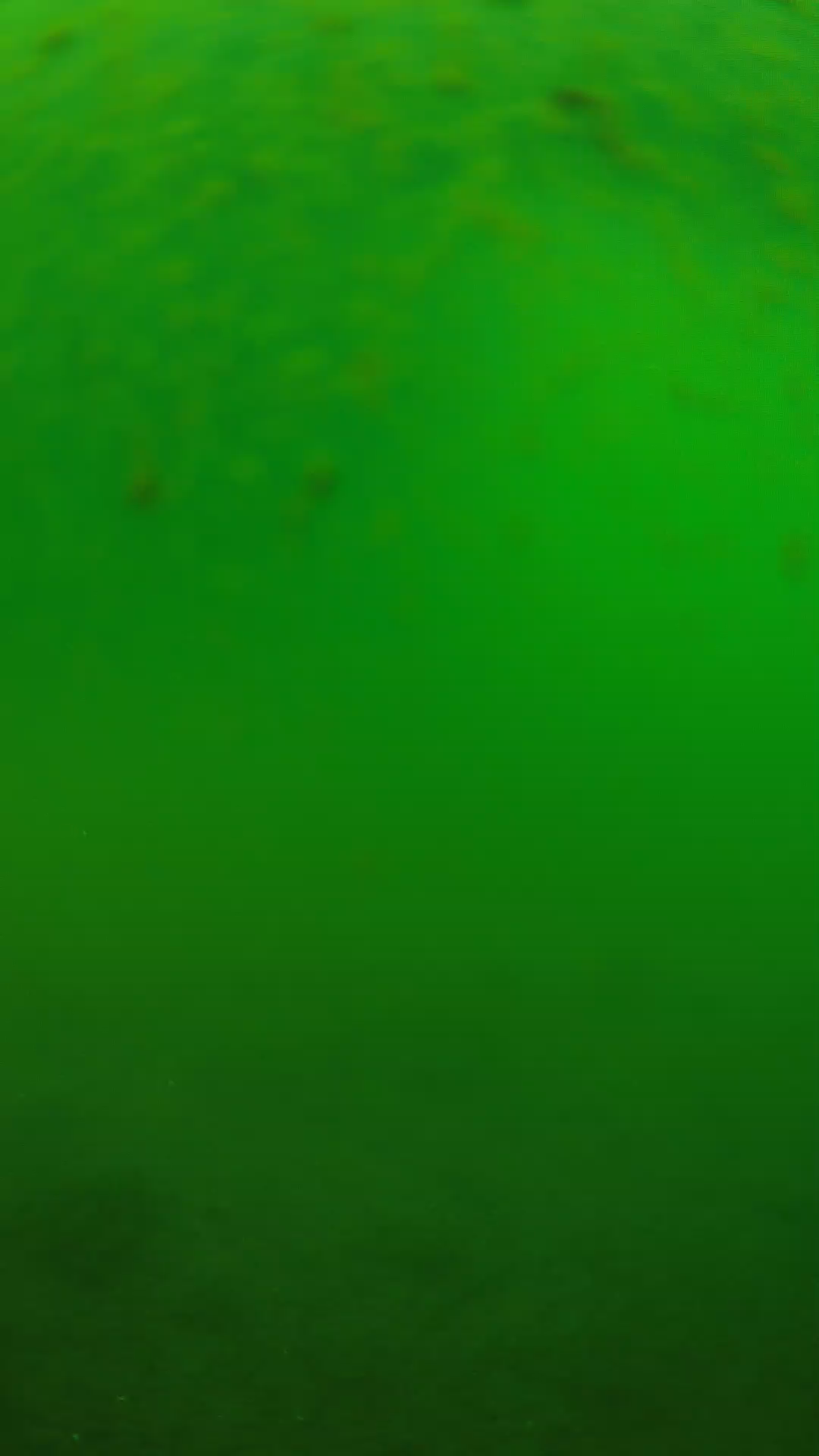lander_ipcam_20240625090543.png