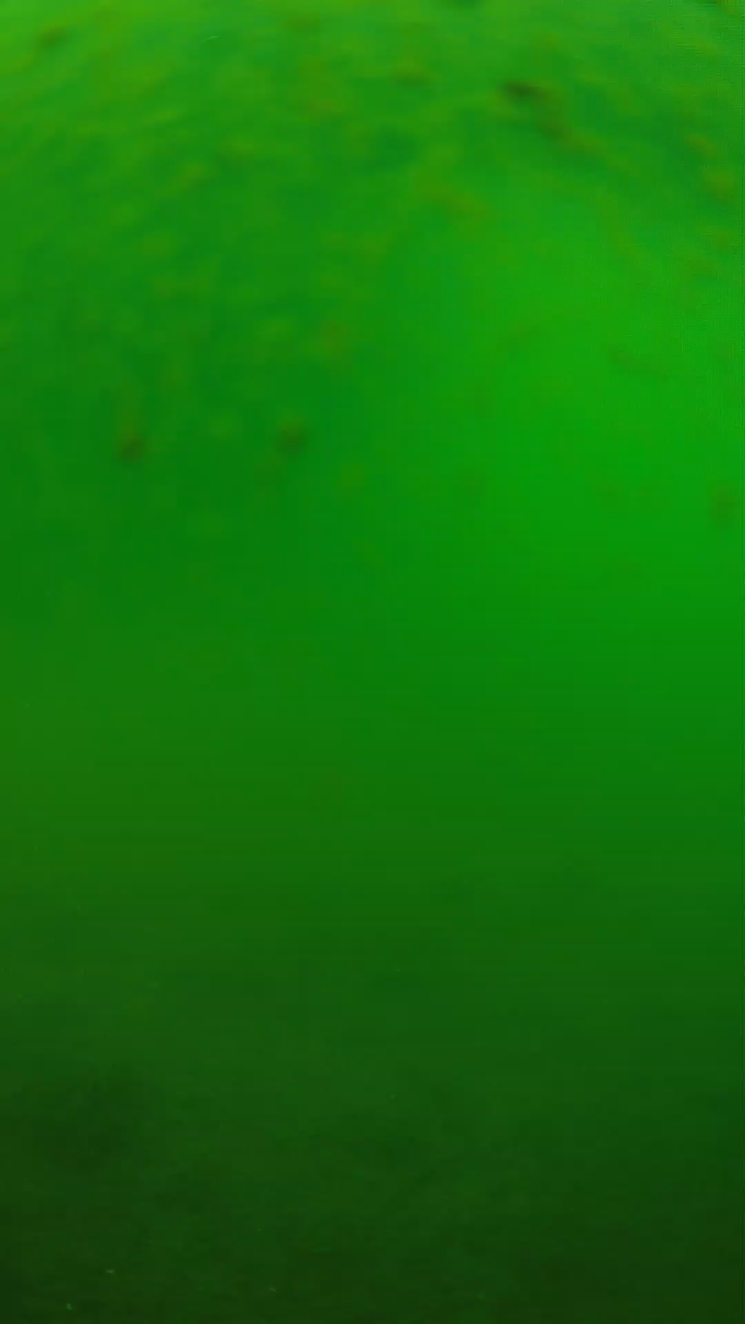 lander_ipcam_20240625090544.png
