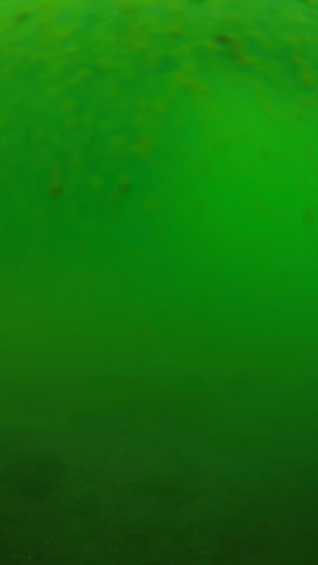 lander_ipcam_20240625090545.png