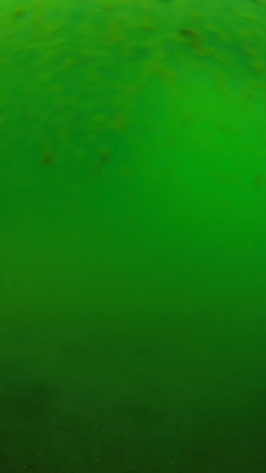 lander_ipcam_20240625090546.png
