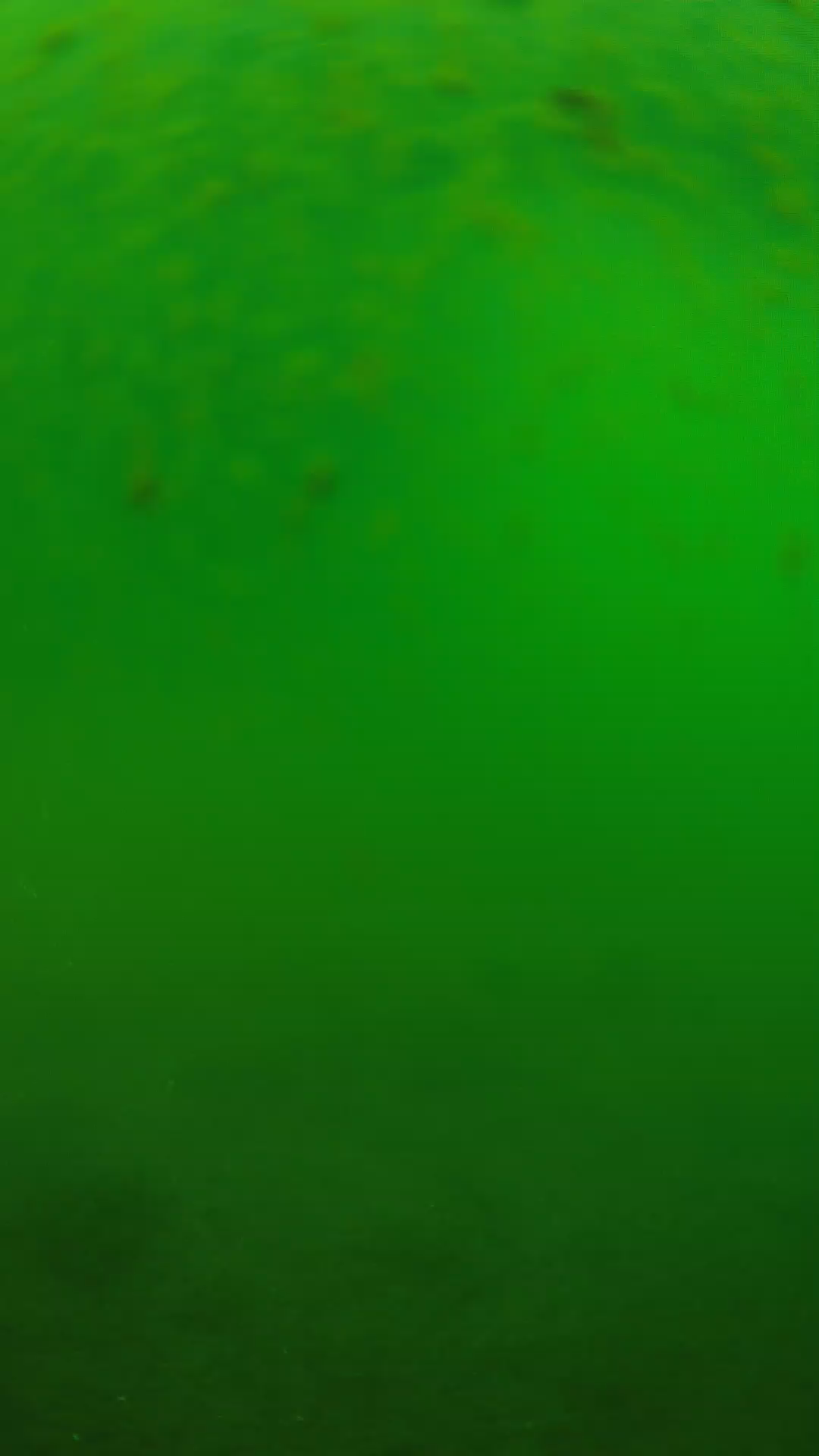 lander_ipcam_20240625090547.png