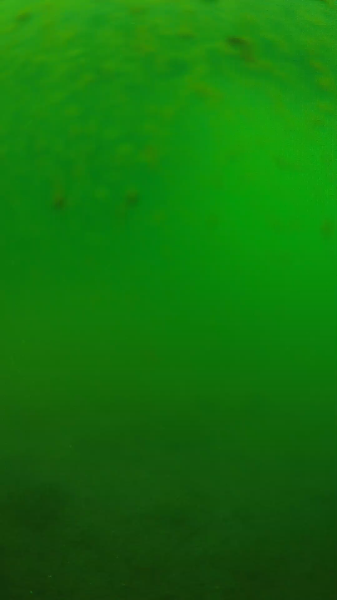 lander_ipcam_20240625090548.png