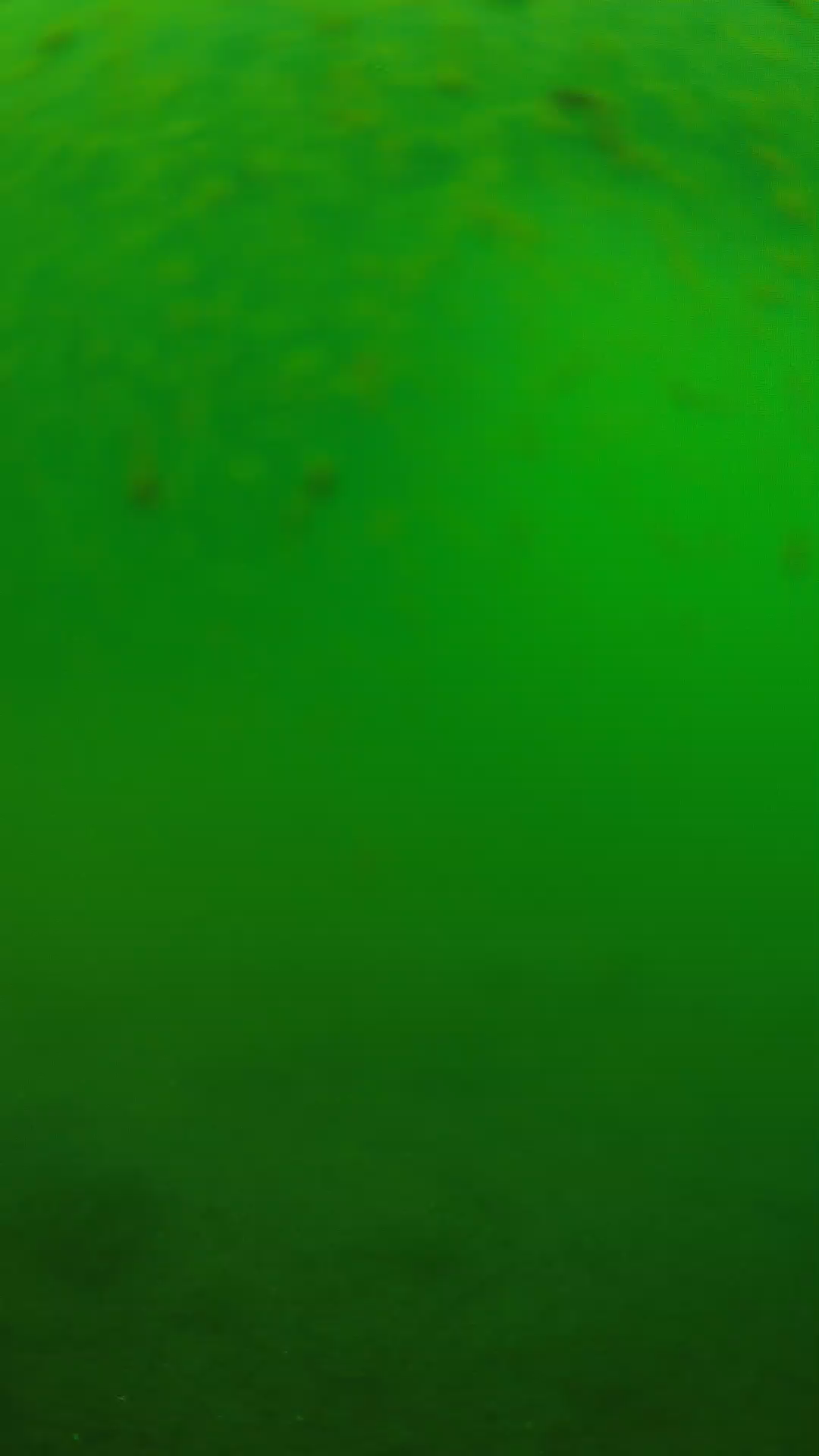 lander_ipcam_20240625090549.png
