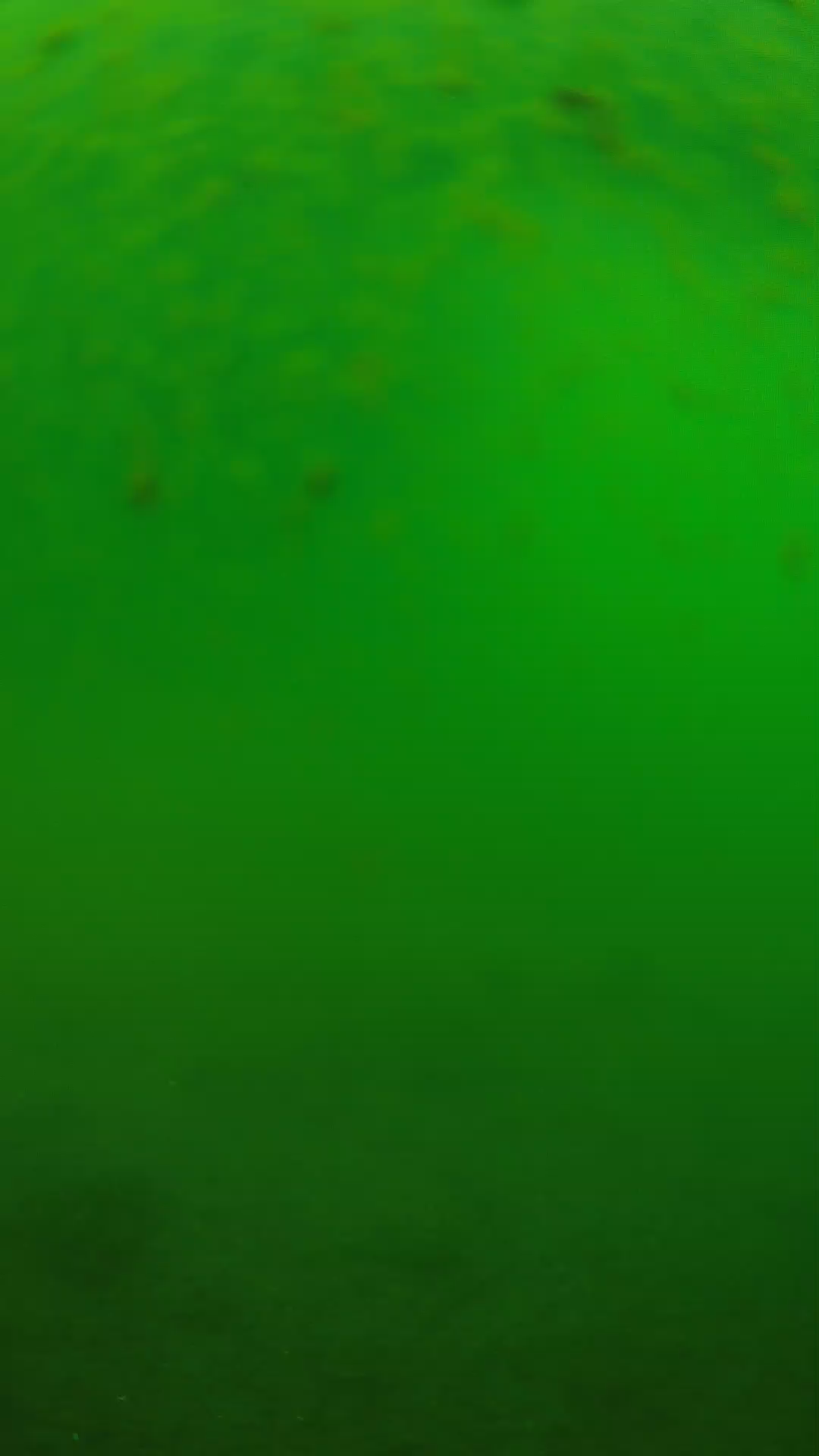 lander_ipcam_20240625090550.png