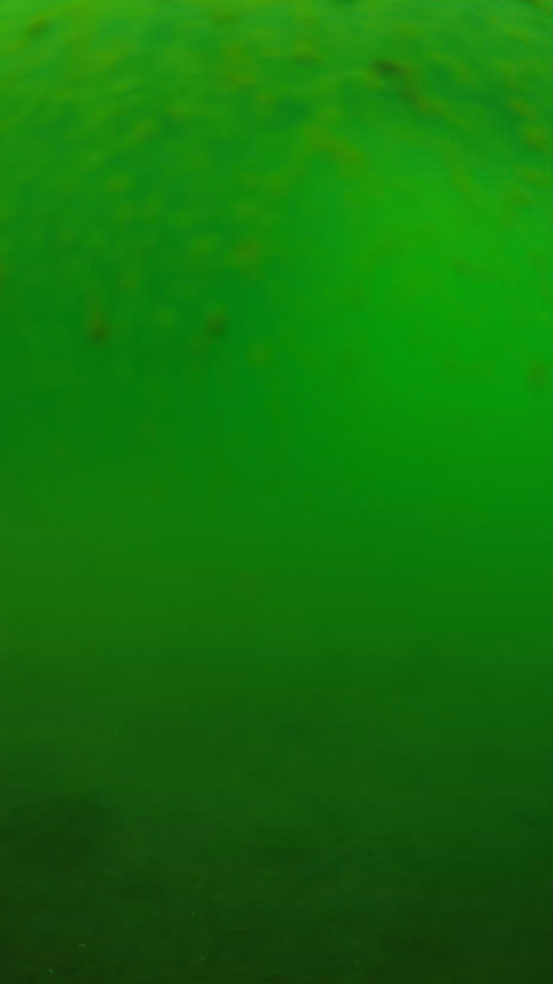 lander_ipcam_20240625090551.png