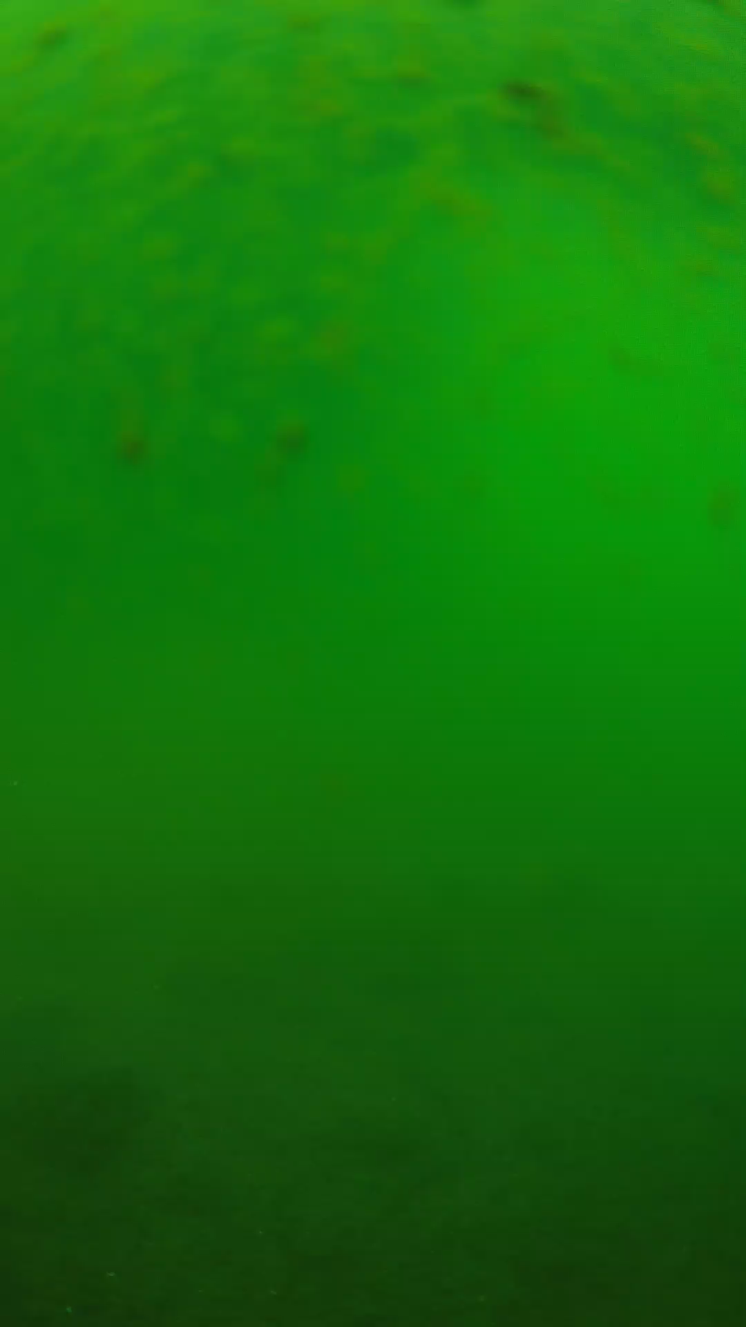 lander_ipcam_20240625090552.png