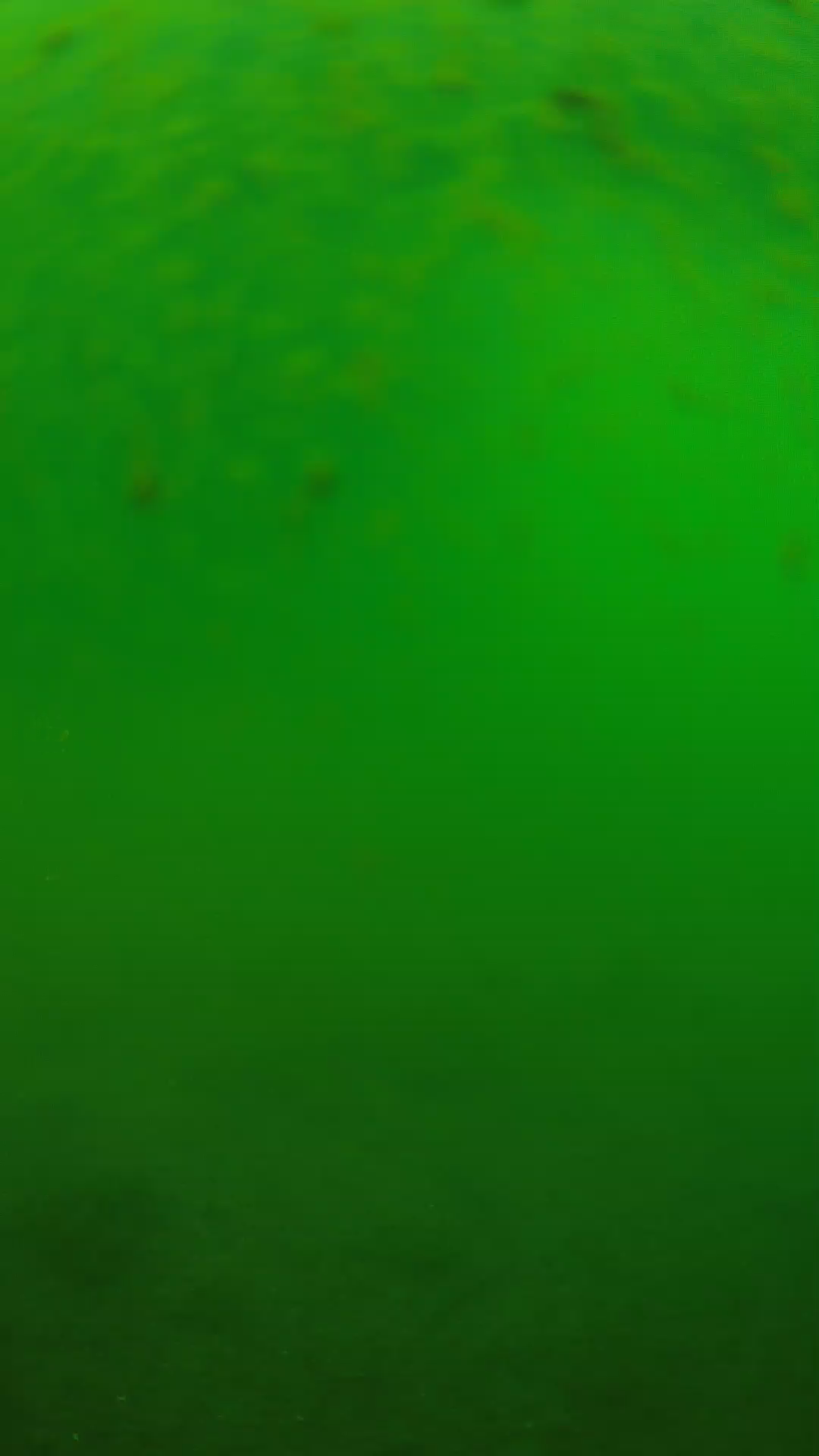 lander_ipcam_20240625090553.png