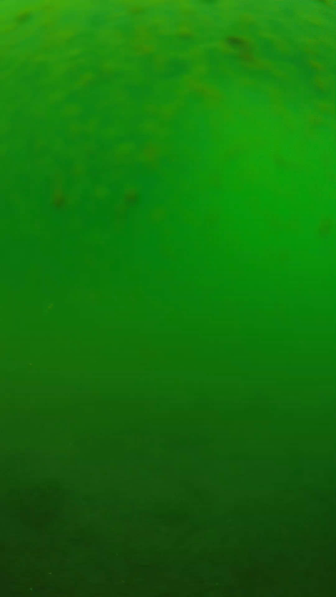 lander_ipcam_20240625090554.png