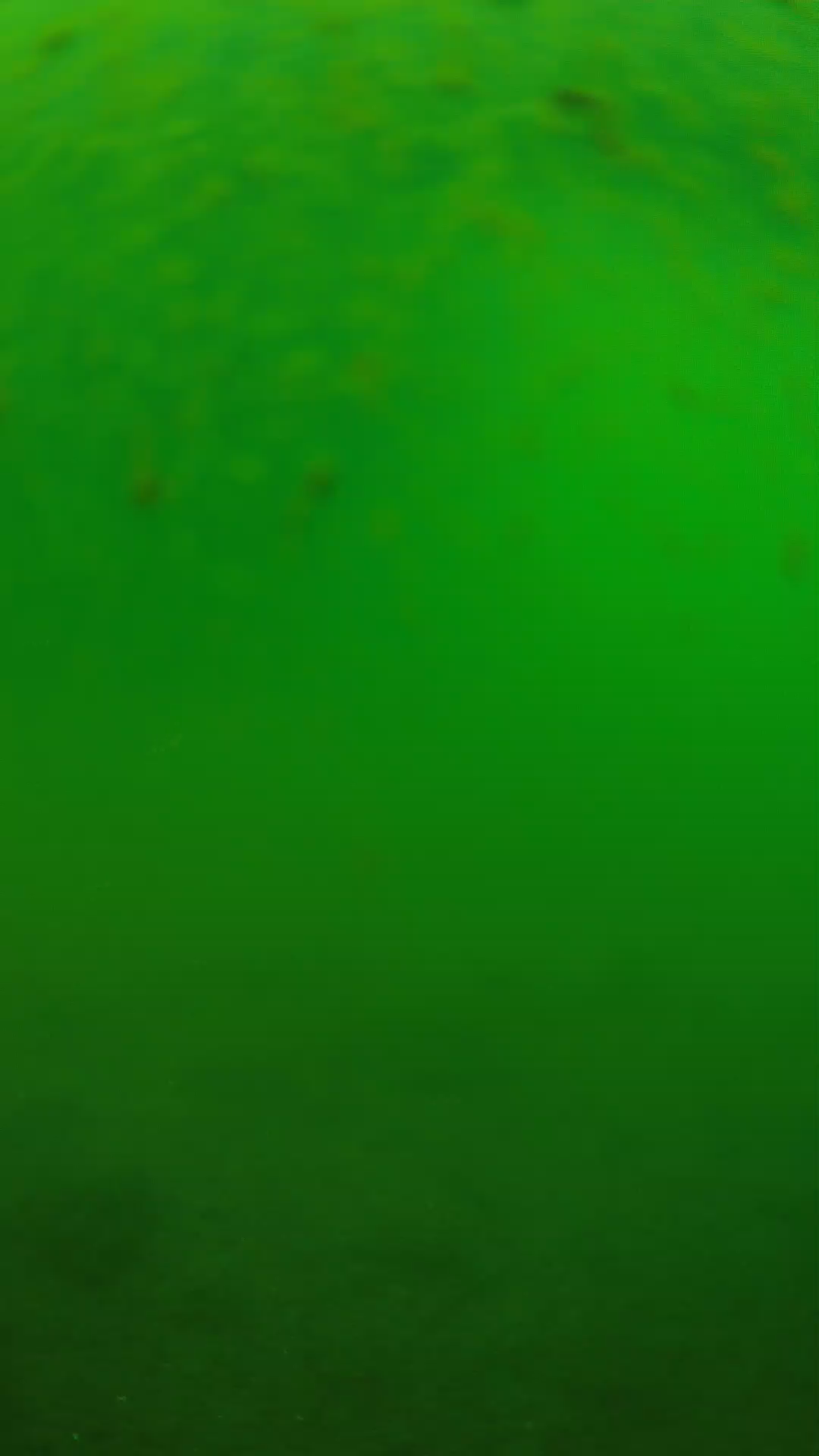 lander_ipcam_20240625090555.png
