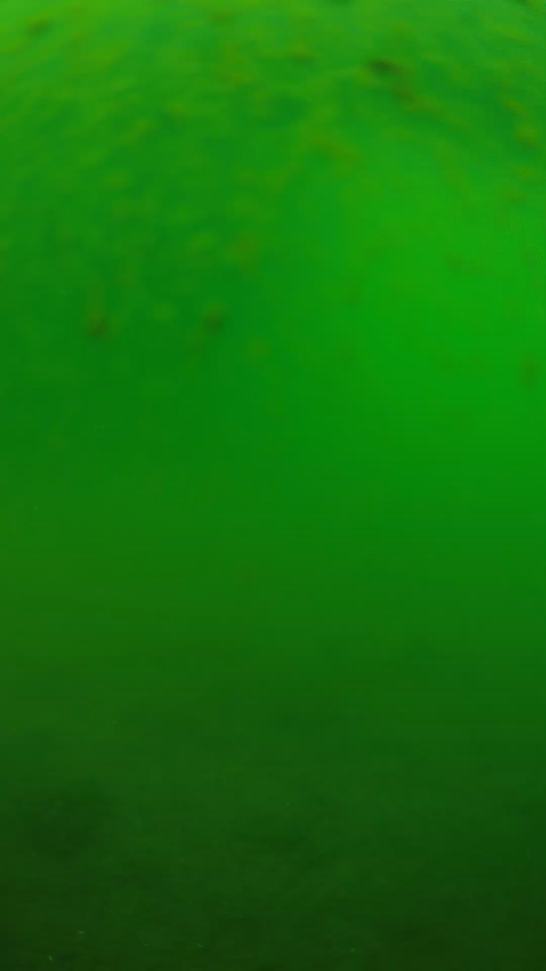 lander_ipcam_20240625090556.png