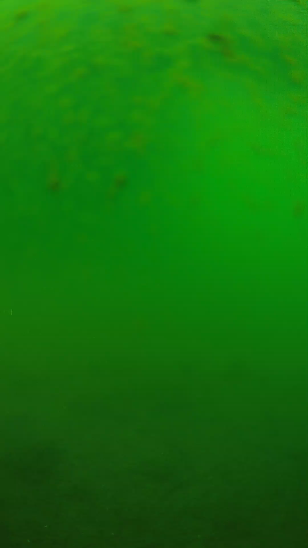 lander_ipcam_20240625090557.png