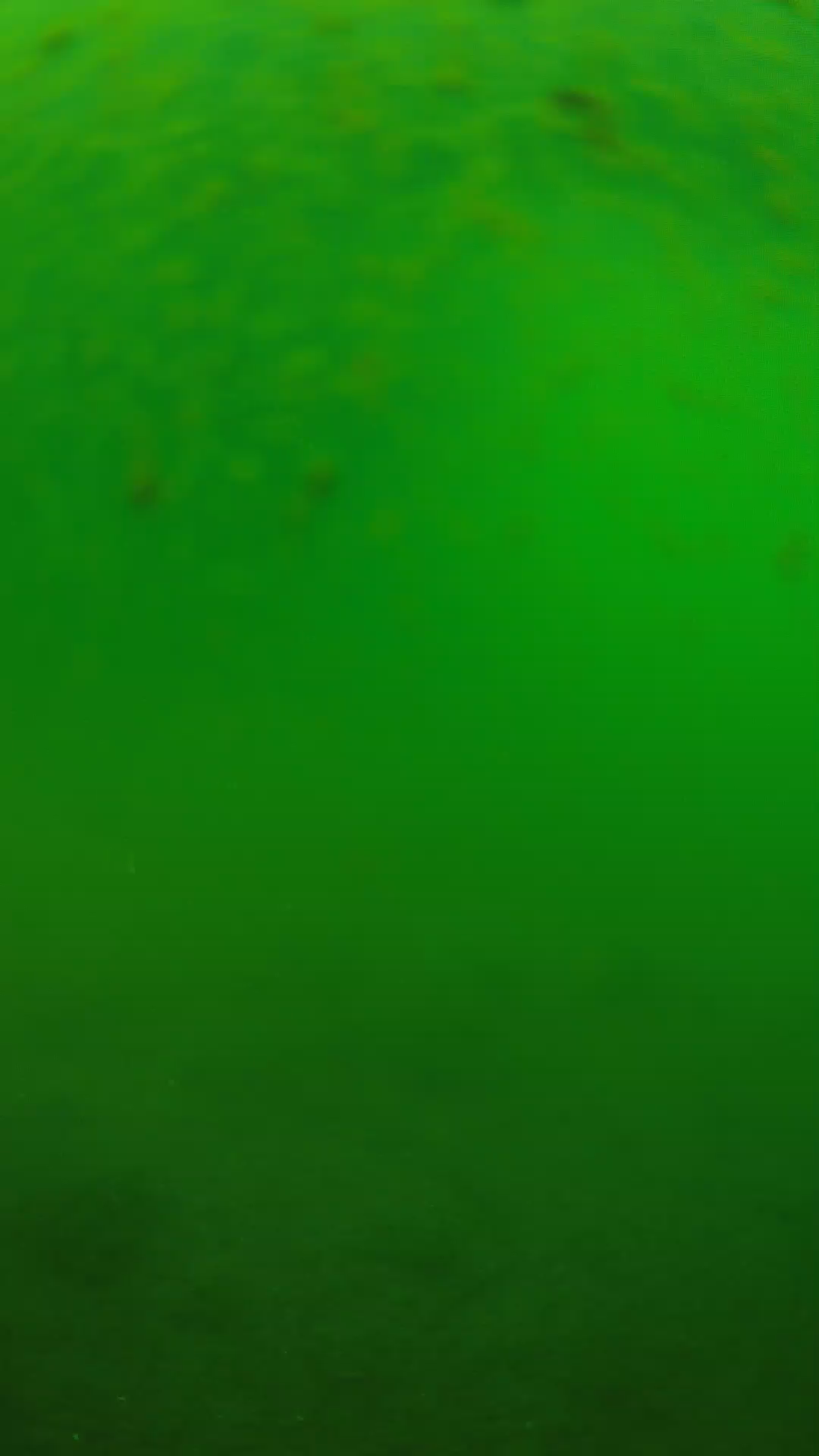 lander_ipcam_20240625090558.png