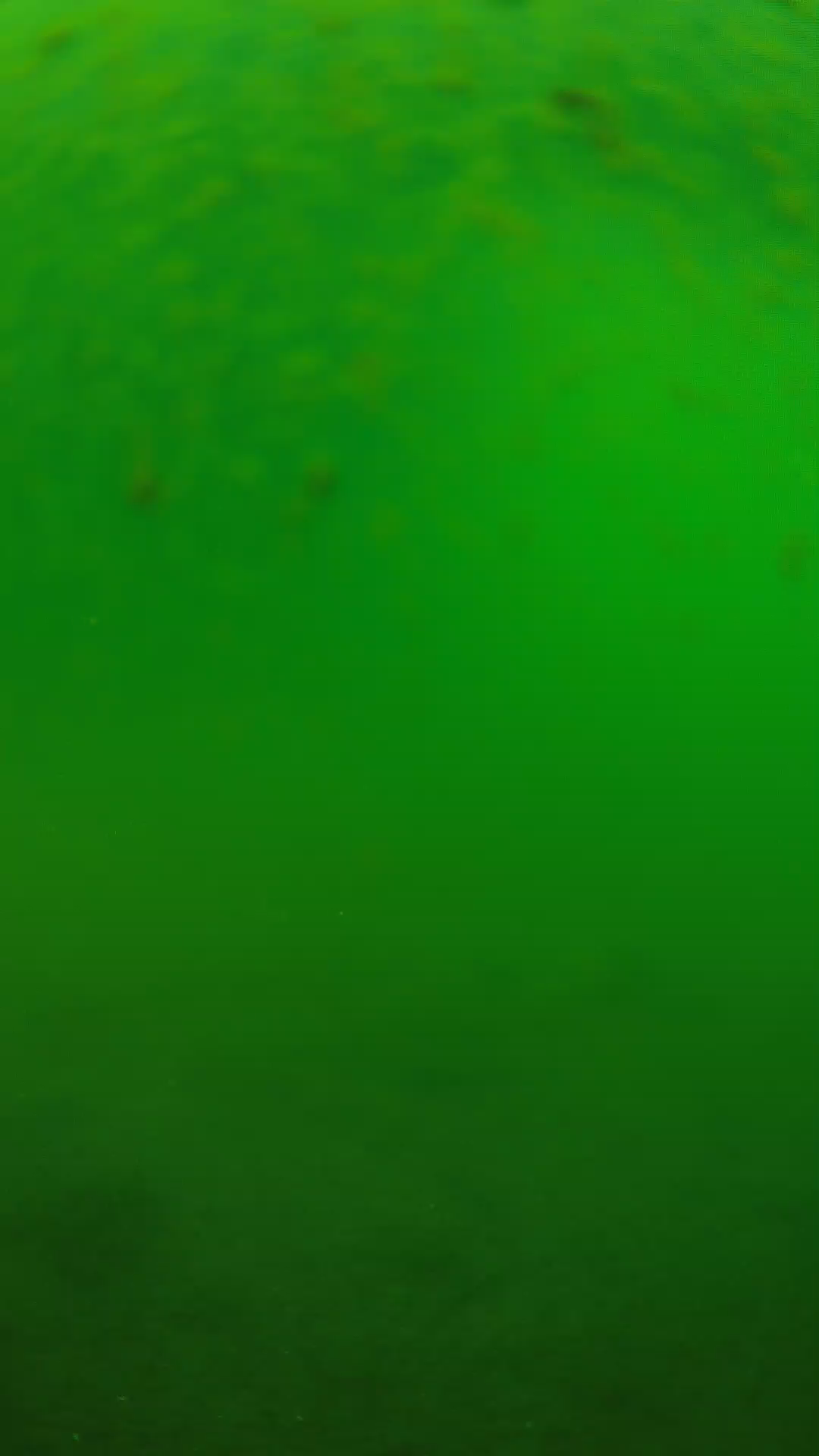 lander_ipcam_20240625090600.png
