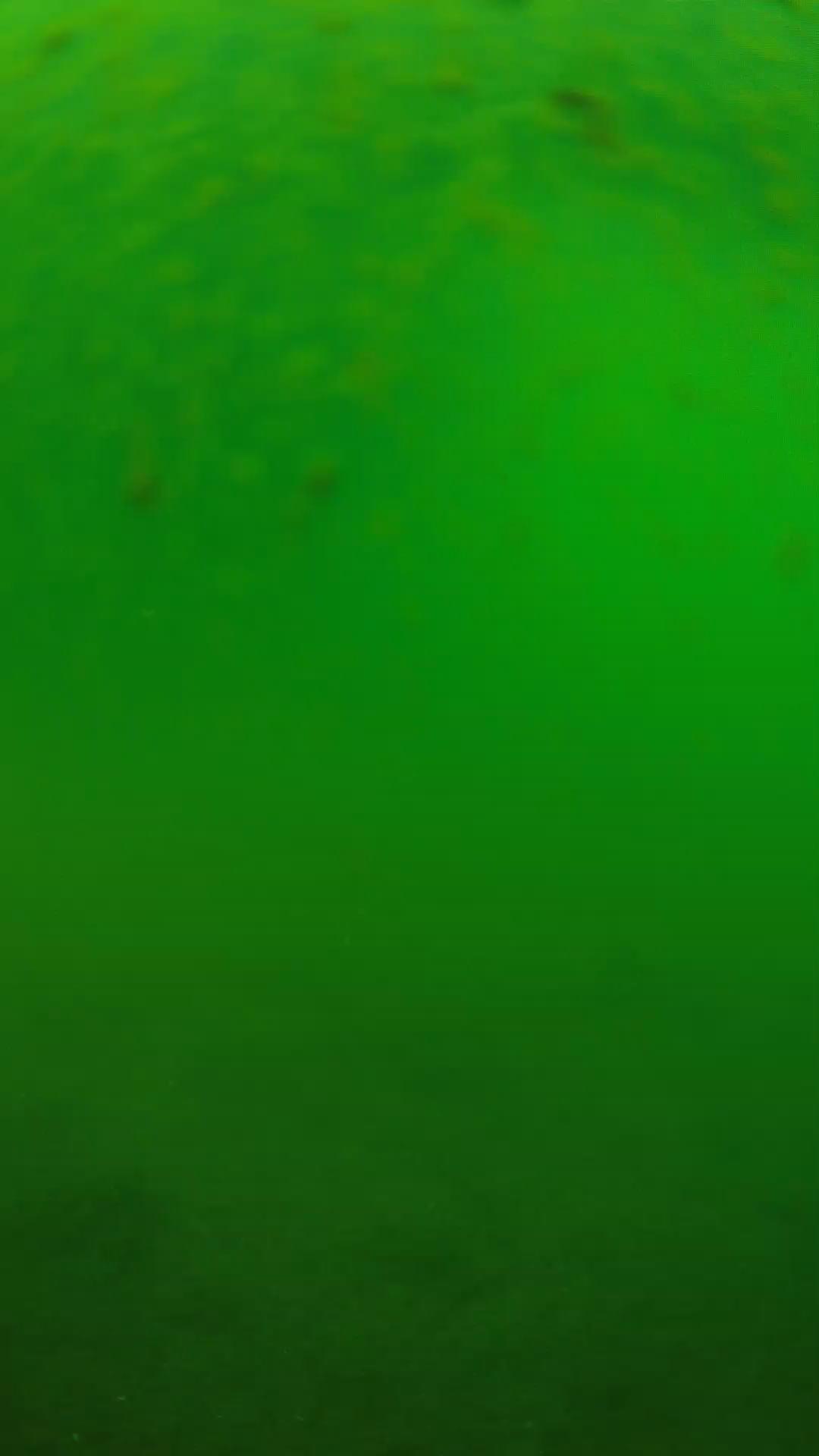 lander_ipcam_20240625090601.png