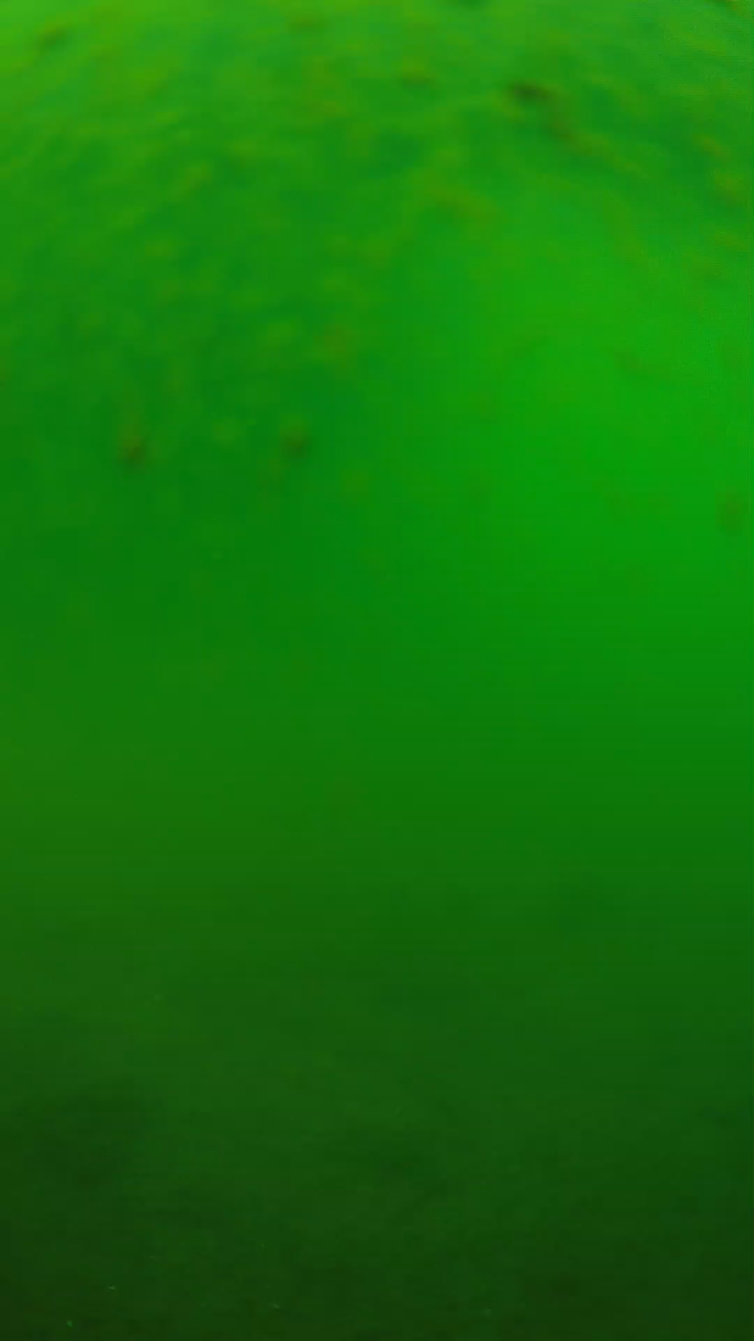 lander_ipcam_20240625090602.png