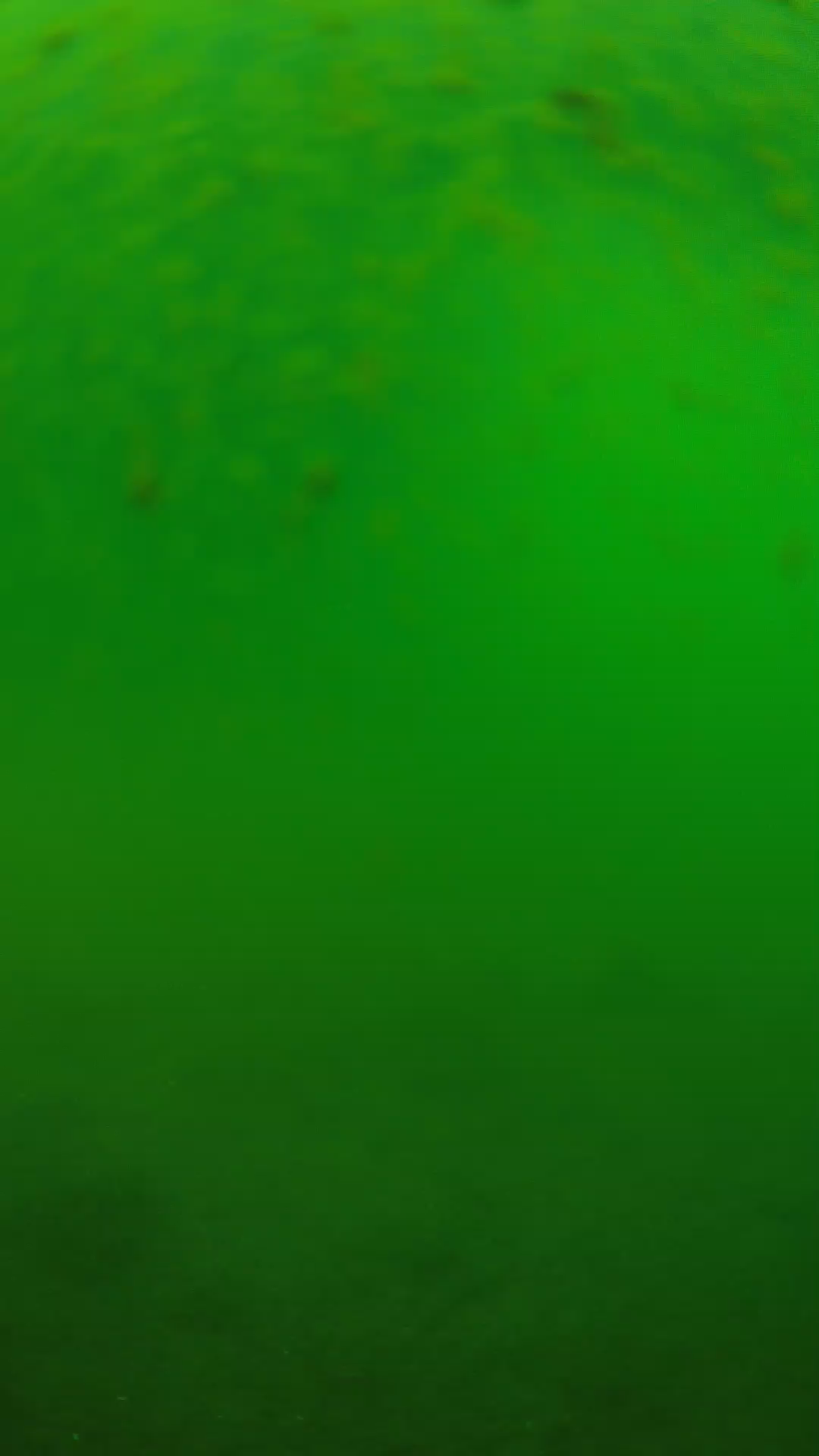 lander_ipcam_20240625090603.png