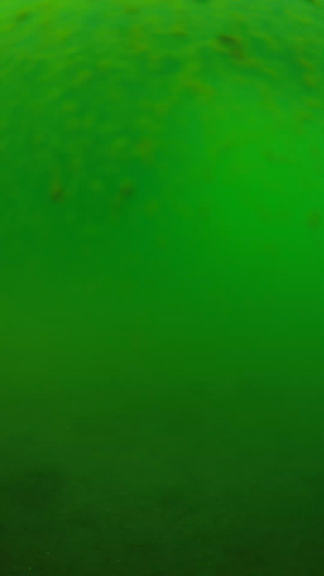 lander_ipcam_20240625090604.png