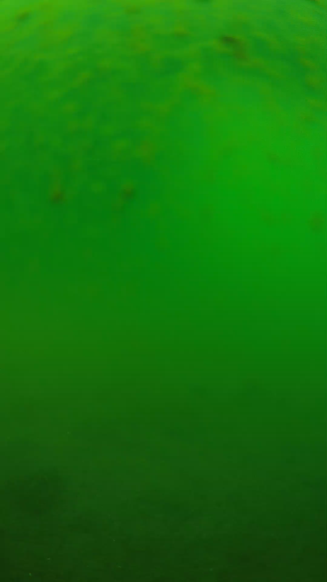 lander_ipcam_20240625090605.png