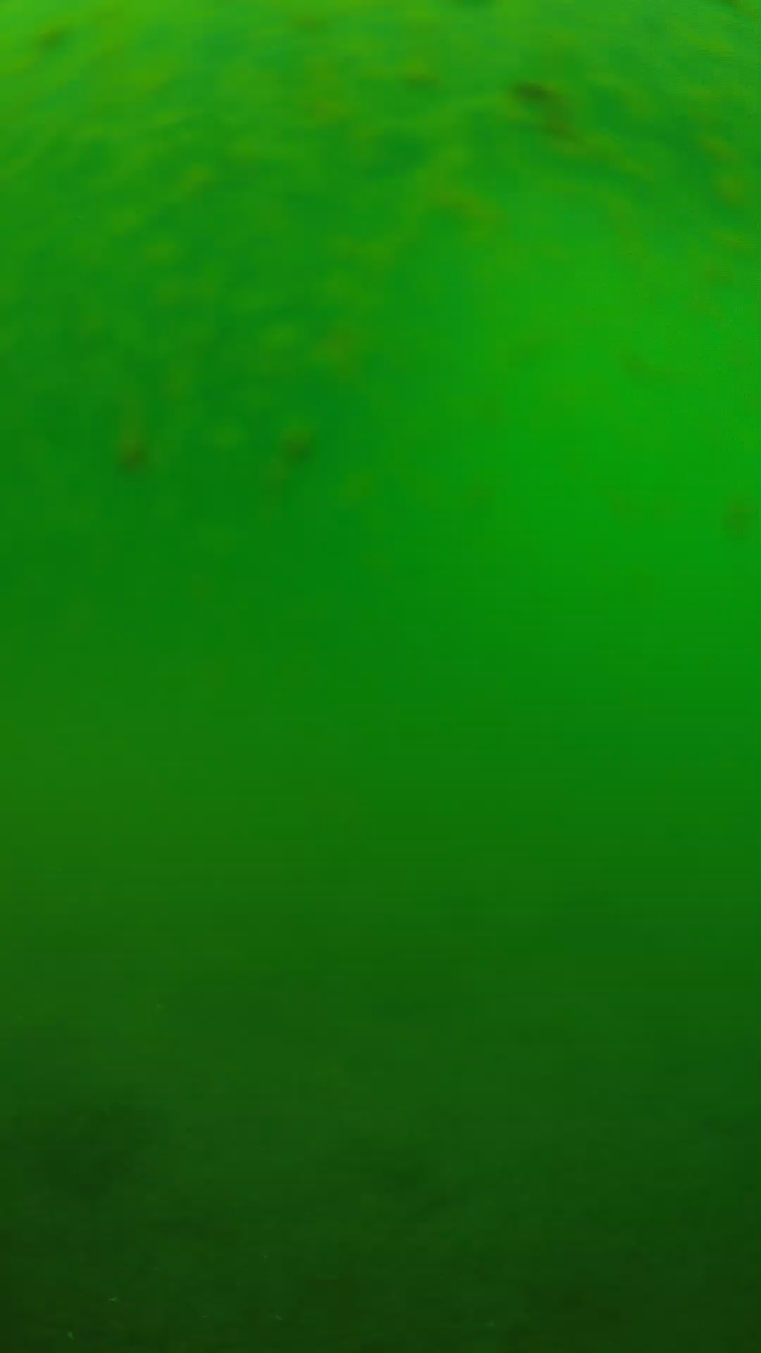 lander_ipcam_20240625090606.png