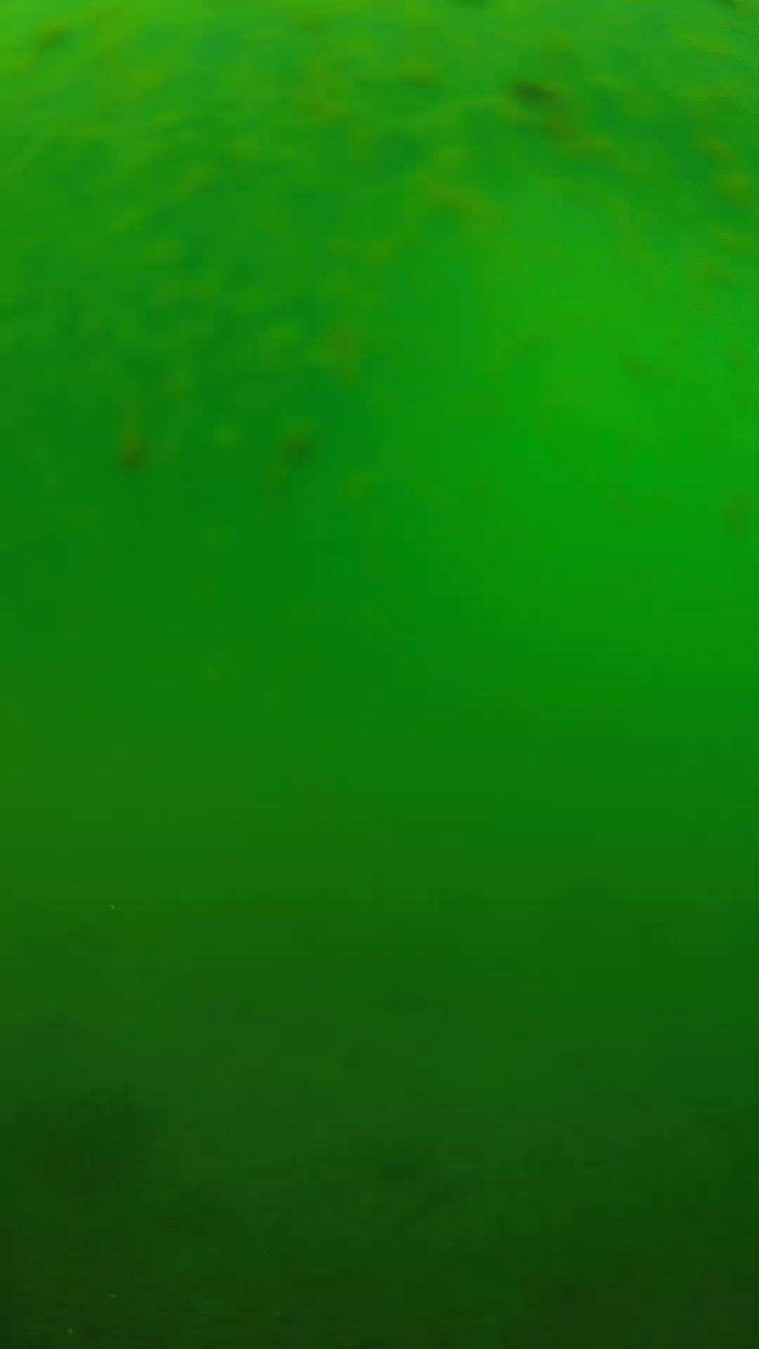 lander_ipcam_20240625090607.png